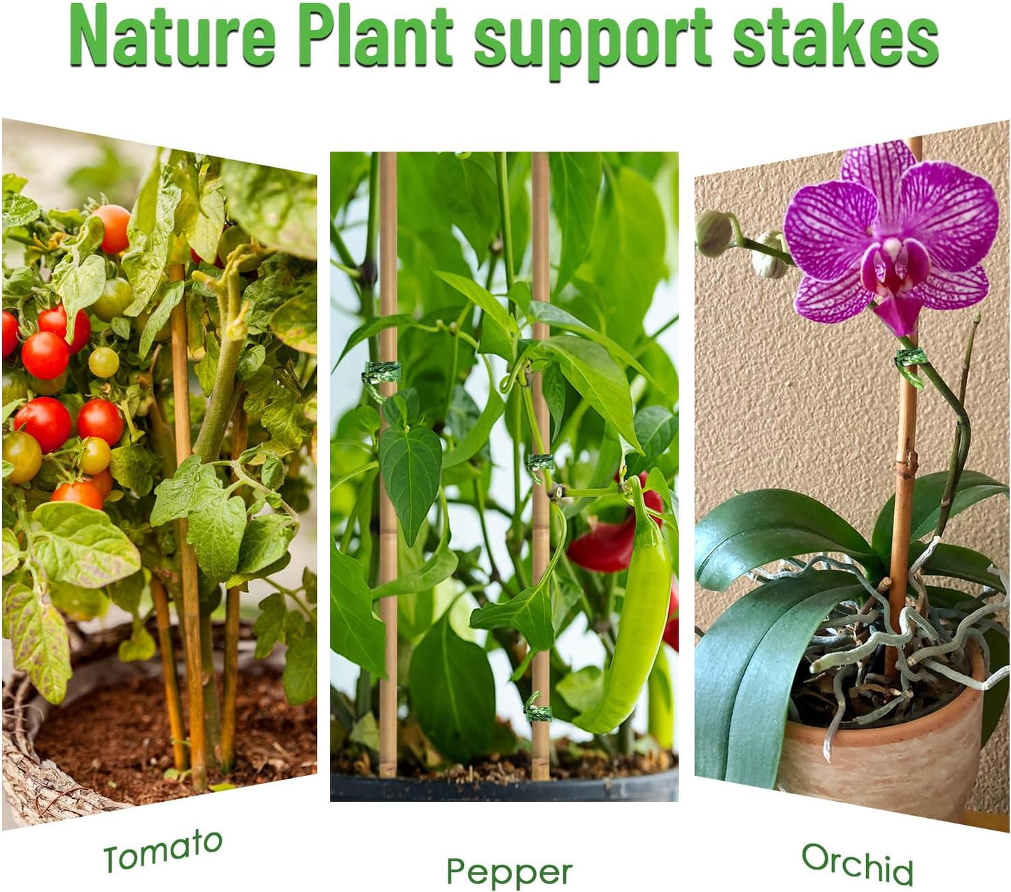 35Pcs Plant Stakes,Premium Natural Bamboo Garden Stakes,Bamboo Sticks Support for Indoor and Outdoor Plants,Tomato,Vegetables Beans,Potted and Climbing Plants