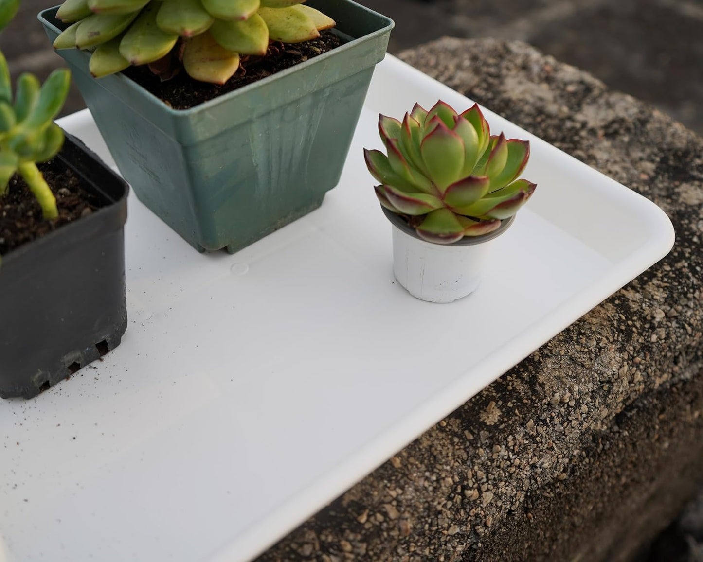 Rectangle Plant Tray, Plant Drip Tray, Plant Pot Saucers, Plant Germination Trays, Plant Saucers, 14.5'' x 11'' x 1.5'' (2 pack), Creamy White