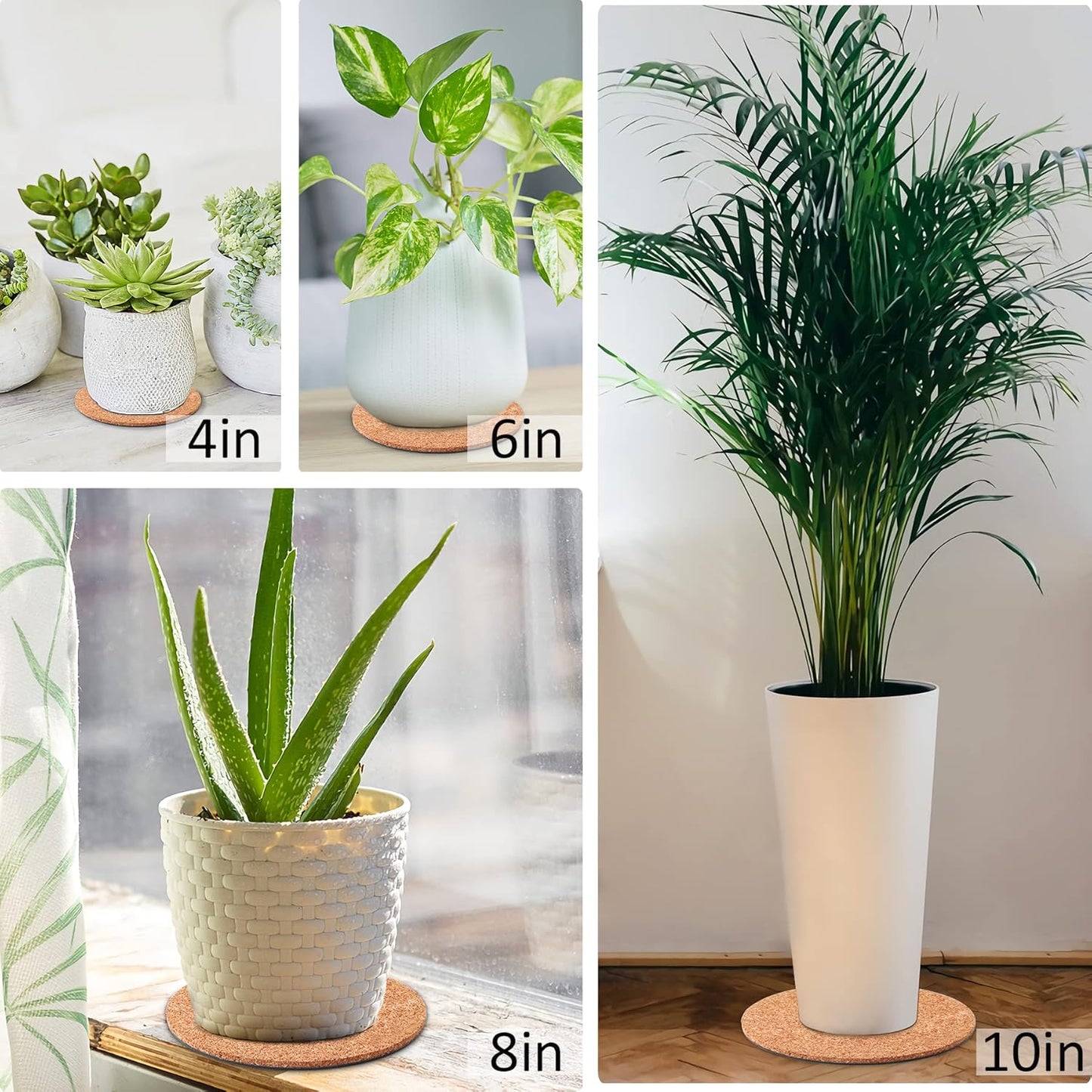 8 Pieces 4 Sizes Cork Plant Saucersplant Mats Round Coasters Pad for Plants House Garden Indoors Pots DIY Craft Project (4 Inches,6 Inches,8 Inches,10 Inches)
