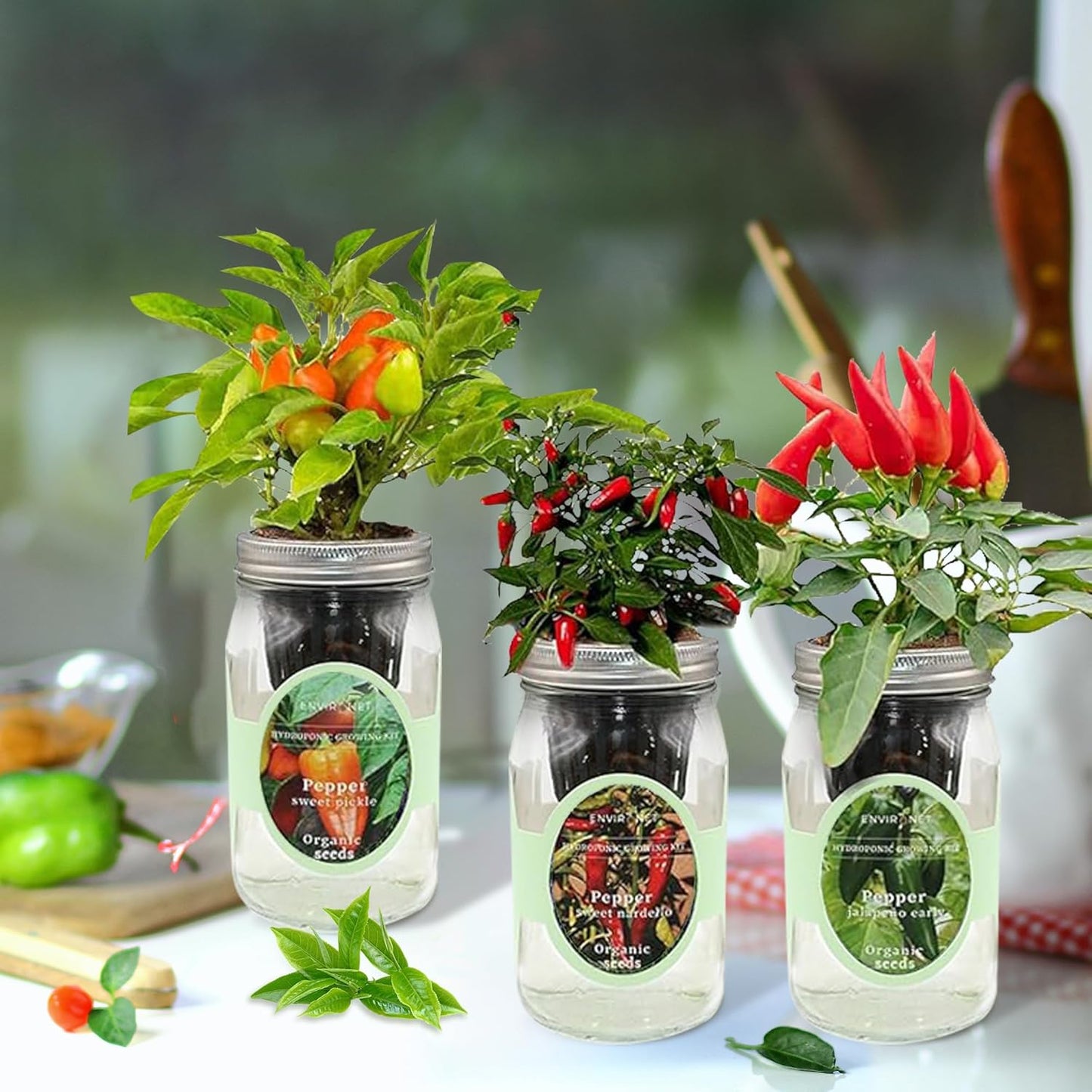 Hydroponic Mason Jar Indoor Garden Organic Seed Starter Kits - Pepper Trio Garden Growing Kits, Gardening Gift (Sweet Nardello Pepper, Jalapeño Early Pepper, Sweet Pickle Pepper)