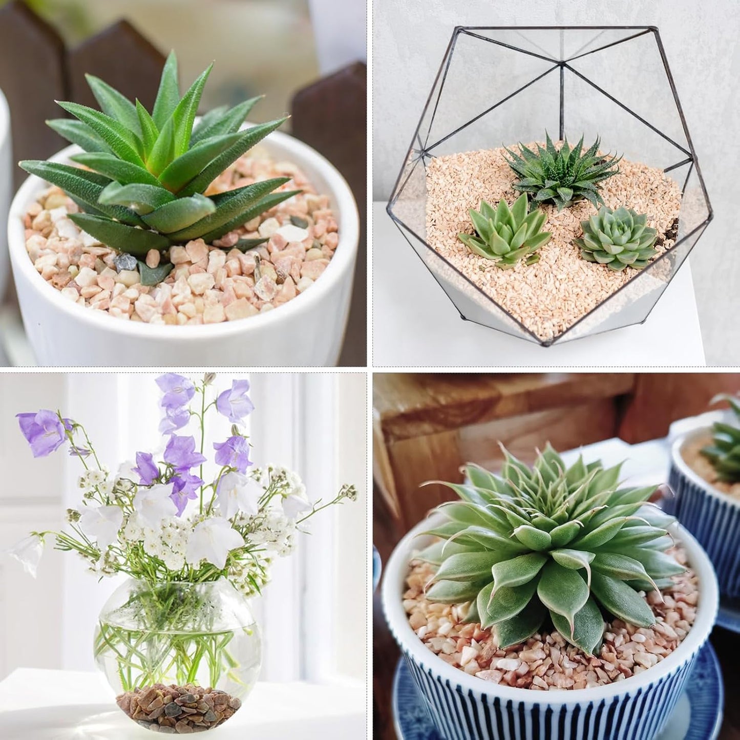 2lbs Peach Pebbles for Plants, 3/8inch Small Rocks, Natural Polished Pebbles, River Rocks for Succulent Cactus Plants, Vases, Aquariums, Gardening