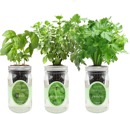 Hydroponic Herb Growing Kit Set, Self-Watering Mason Jar Herb Garden Starter Kit Indoor, Window Herbs Garden, Grow Your Own Plants from Organic Seeds (Basil, Parsley and Oregano)