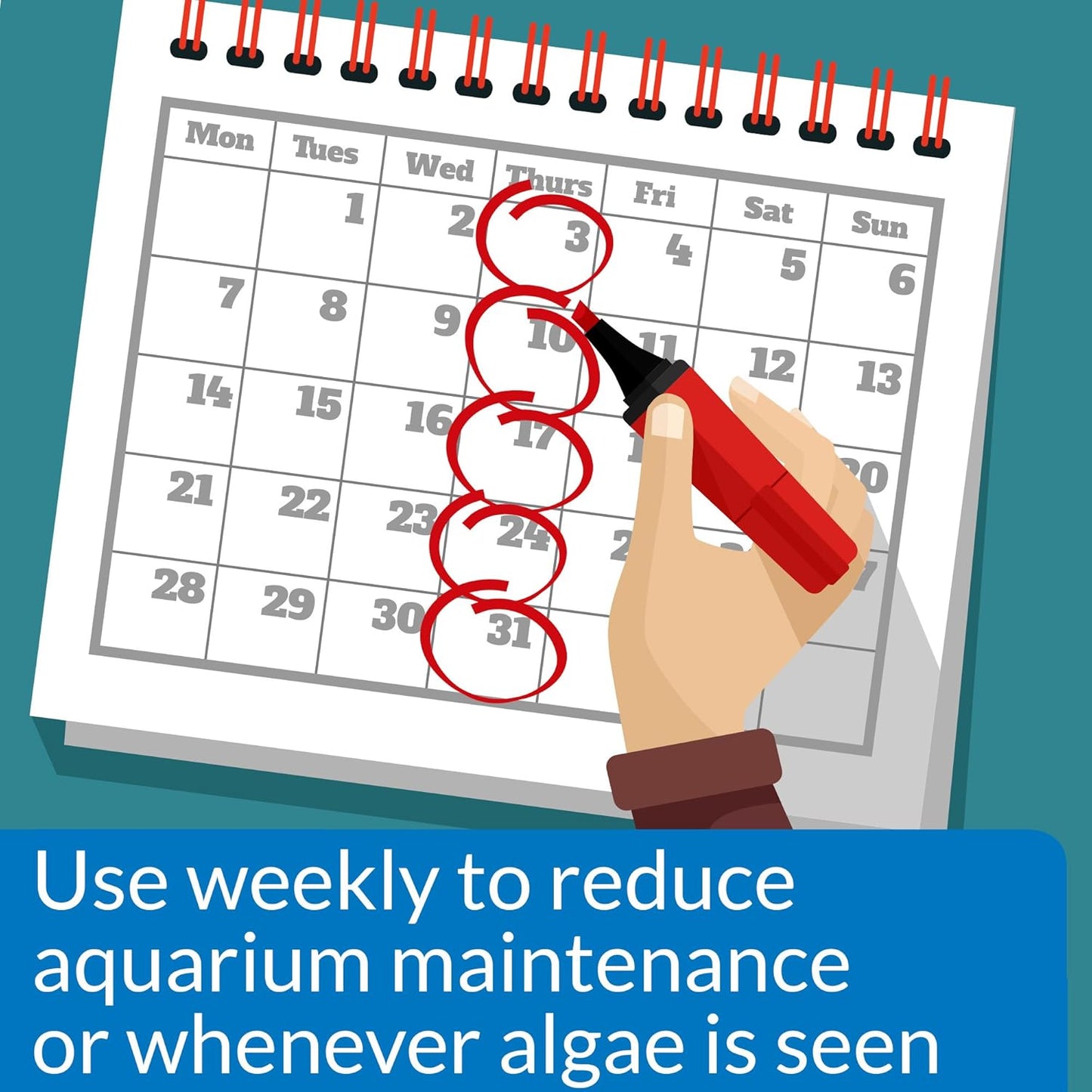 API ALGAEFIX Algae Control 4-Ounce Bottle, Multi-colored