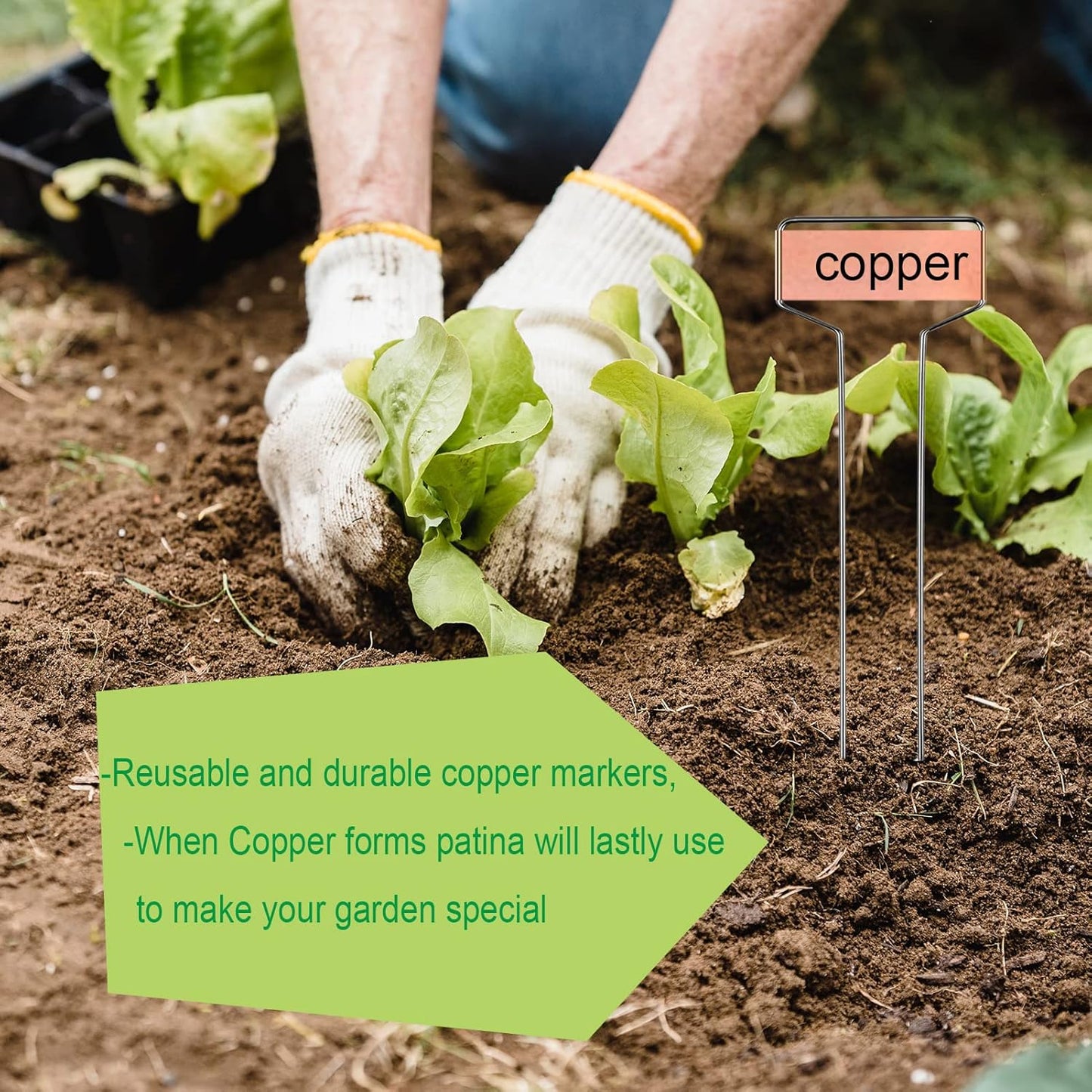 30-Pack Copper Plant Markers Metal Plant Labels 6in&10inch Plant Markers for Outdoor Plants, Garden Markers Plant Labels for Seedlings Herbs Flowers Vegetables Tree Tags Gardening Gifts