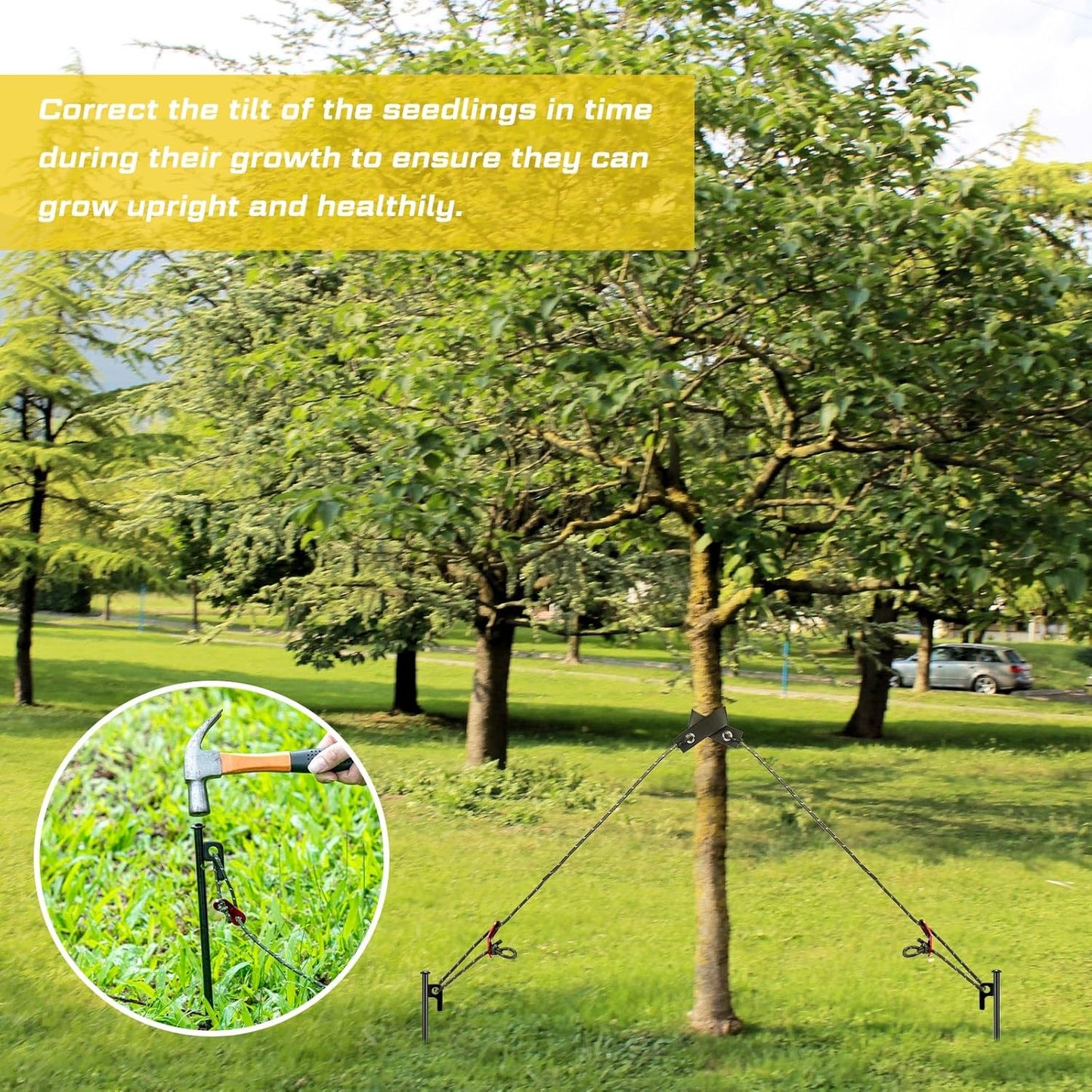 Suzile 60 Pcs Tree Stake Kit, Heavy Duty Tree Staking and Supports for Leaning Trees Include 11. 8'' Steel Stakes 15. 8'' Support Straps 13. 12 ft Ropes for Anchoring Hurricane Protection (Army Green)