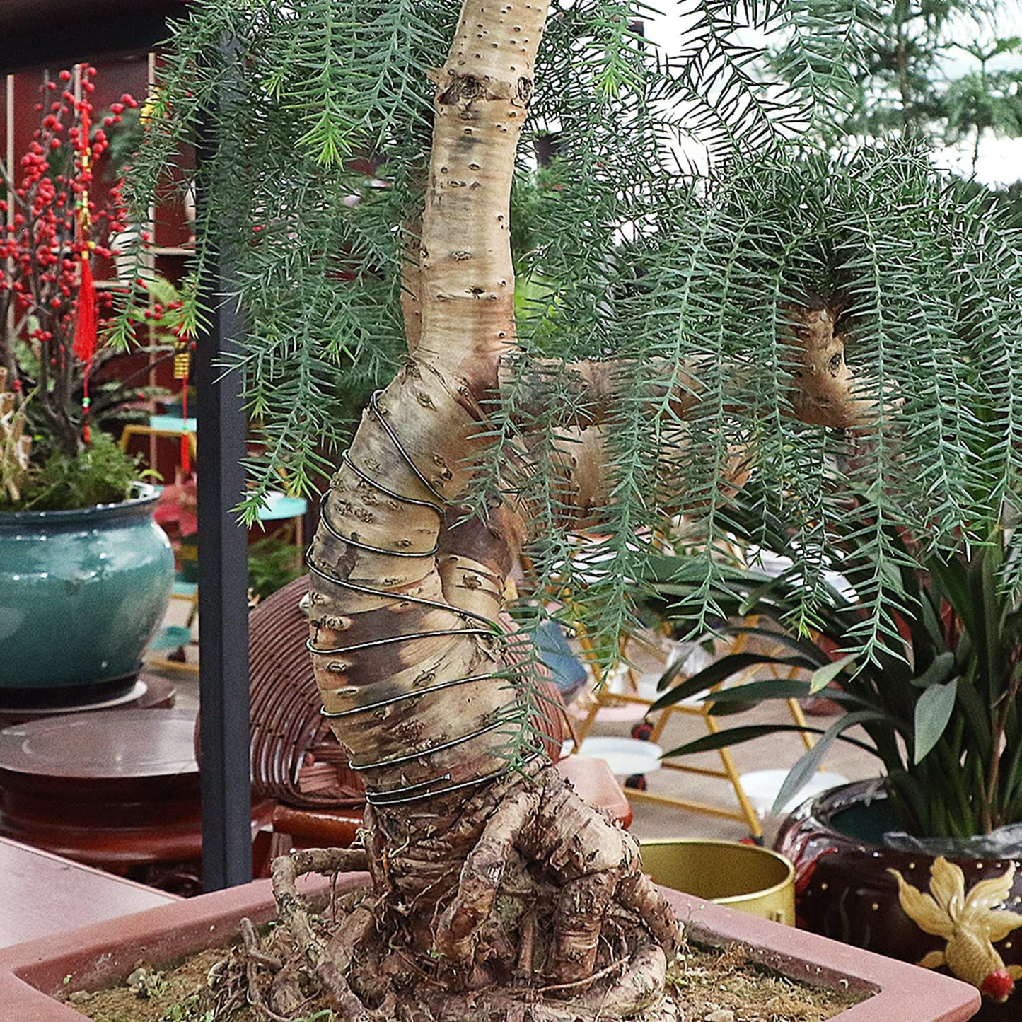 Sanlykate Bonsai Training Wire Kit, 9 Roll Tree Training Wires 295.27 Feet Total, 1.0mm, 1.5mm, 2.0mm Anodized Aluminum Wire Set, Hold Plant Branches Trunks - Black