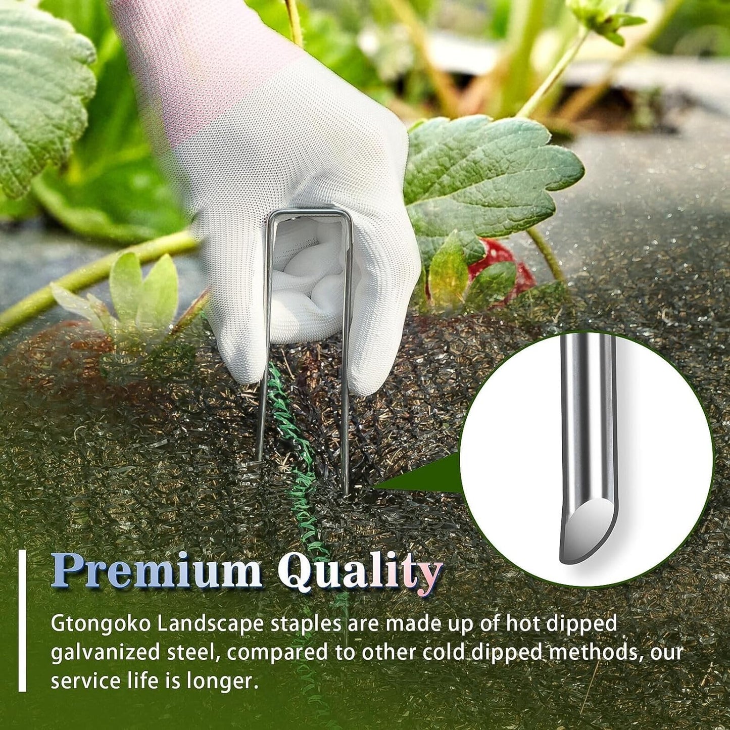 Gtongoko 200 Pack Galvanized Landscape Staples Garden Stakes Plant Cover Stakes 6 Inch 11 Gauge SOD Staples Fence Stakes for Landscaping Securing Weed Barrier Fabric, Decoration