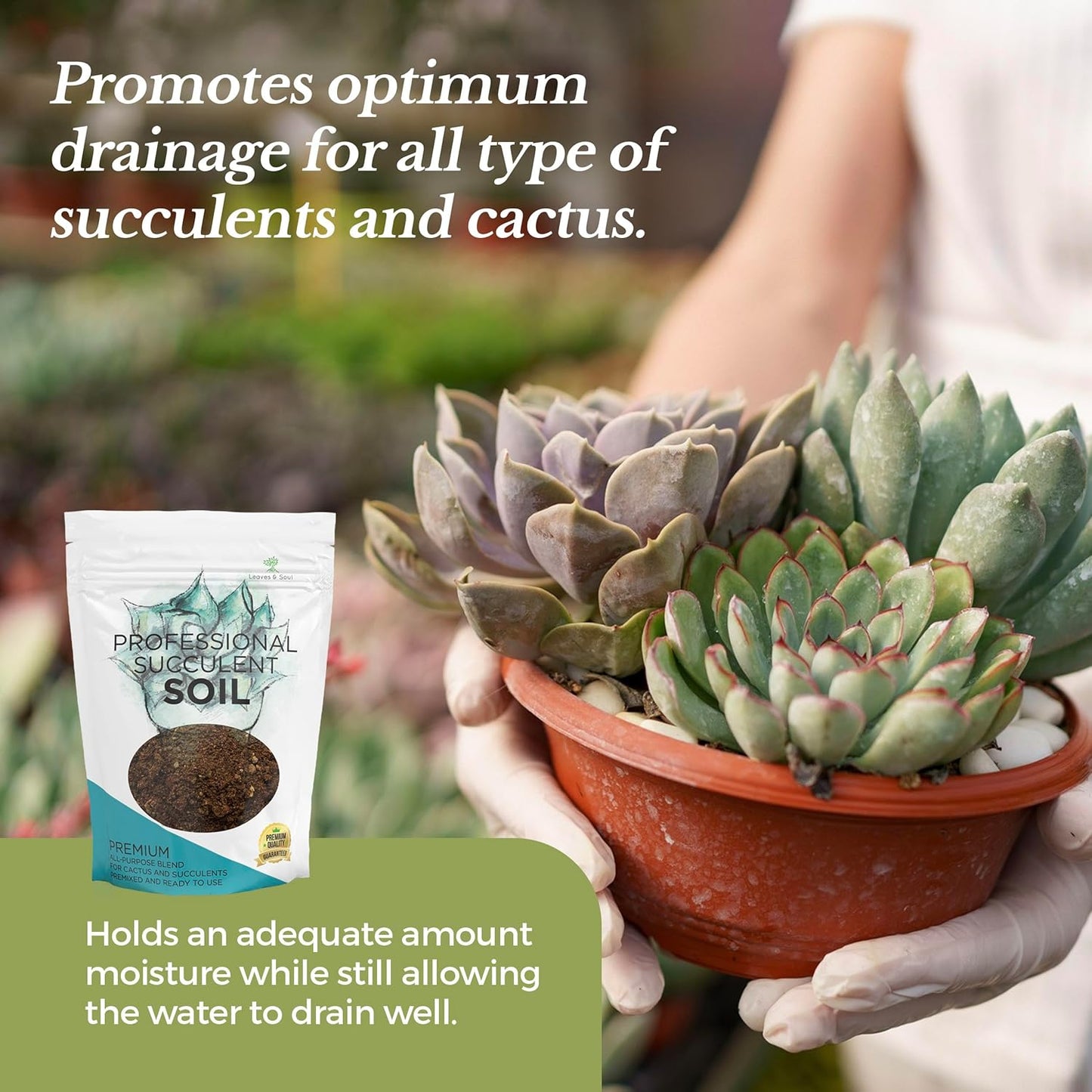 Extra Large 8.2 QT Bag Succulent Soil Premium All Purpose Blend | Pre-Mixed Ready to Use for Cactus and Succulents | Canadian Peat, Course Sand, Pinebark | Made in USA