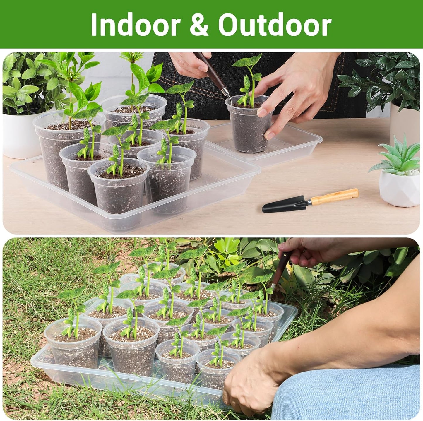 GREANER Square Plant Saucer, 8 Inch Plant Trays for Indoors No Holes, Clear Water Trays for Pots, Durable Flower Pot Saucers for Indoors and Outdoors(6 Packs)