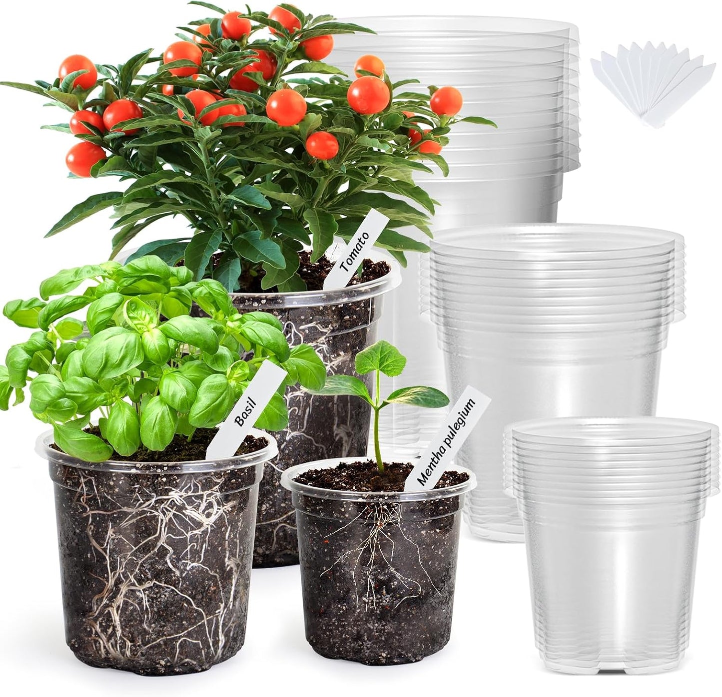 Bonviee 30 Packs 6.7/5/4 Inch Clear Nursery Pots for Plants, Plastic Seedling Pots with Drainage Holes, Planters for Indoor Plants and Transparent Seed Starter Pots with 10 Plant Labels