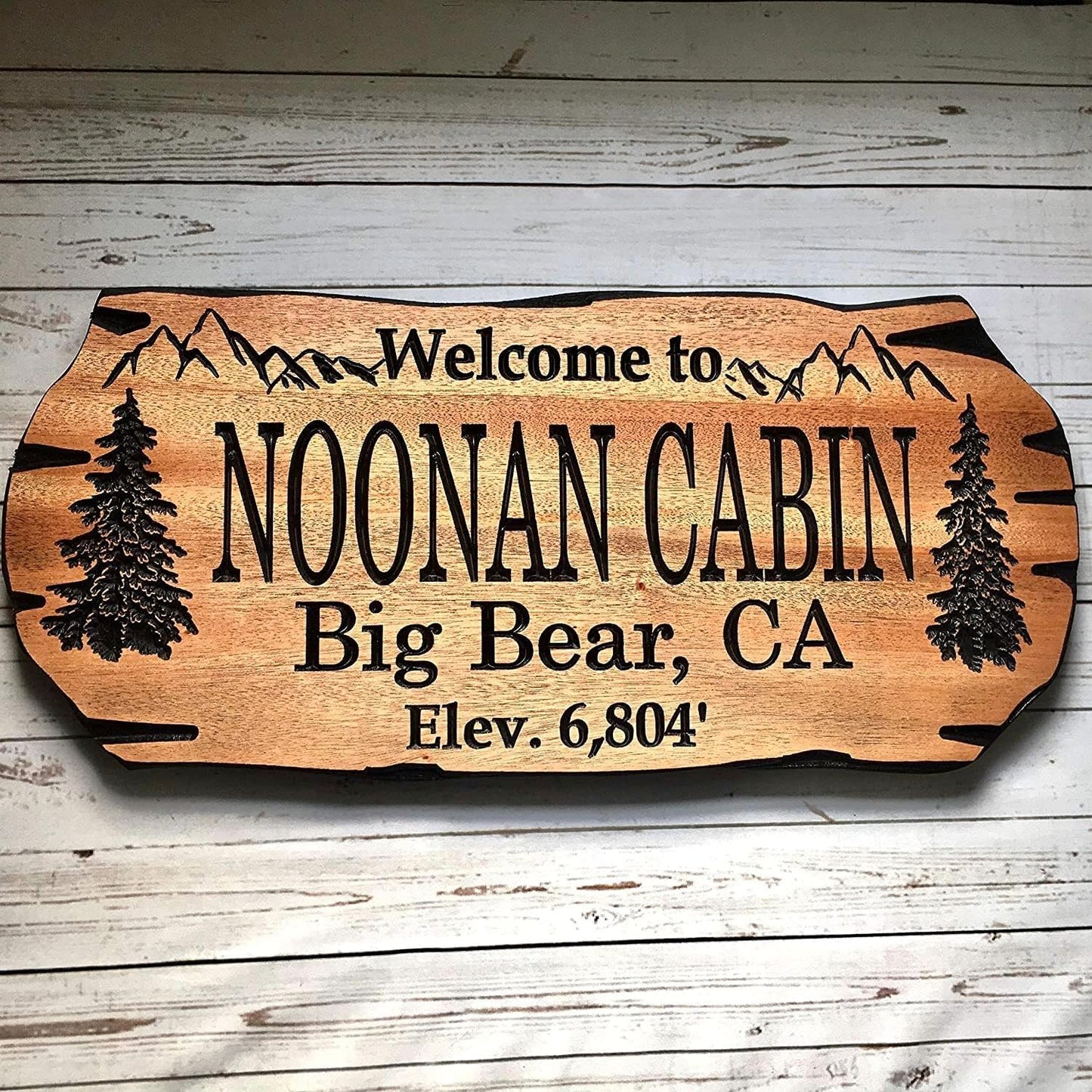 Custom Wooden Signs, Personalized Wood Signs, Custom Wood Signs, Personalized Cabin Signs, Outdoor Wooden Sign, Family Name Signs (Noonan Style)