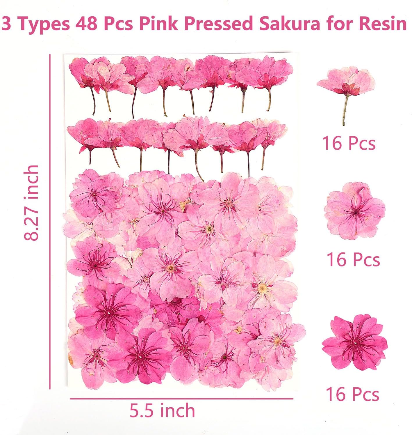 48 Pcs Mix Cherry Blossom Natural Dried Pressed Flowers for Cake Decorating, Real Dry Flower for Resin Jewelry Making, DIY Art Crafts - Pink Sakura…