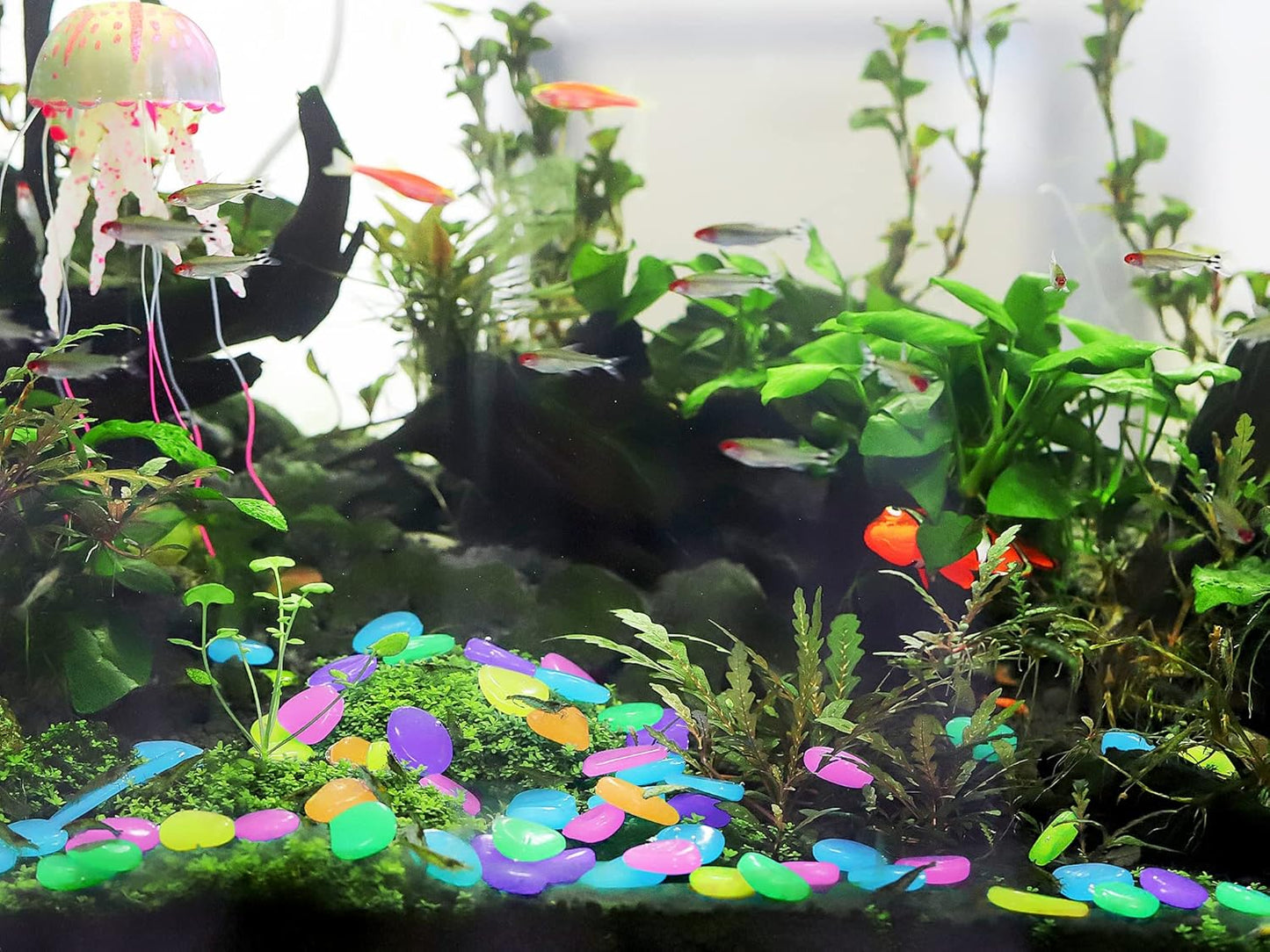 350 PCS Luminous Stones – Mixed Color Glow Rocks Decorations DIY Decorative Pebbles for Aquarium Fish Tank Sidewalk Garden Path Patio Terrace Lawn Yard Ornaments Colorful Cobbles Decor FD05MX350