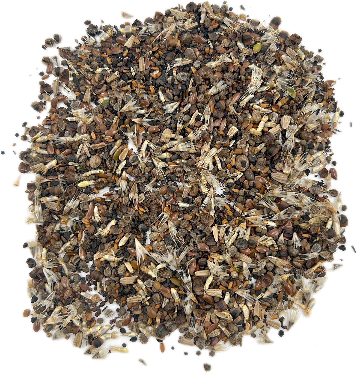 Ferry-Morse All Purpose Sun-Shade Mix Bulk Wildflower Seeds, 1lb