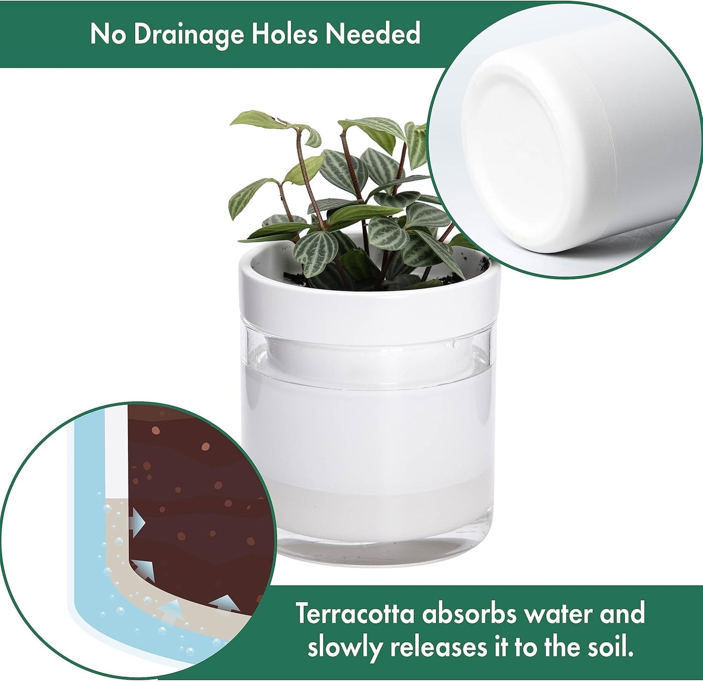 Phoenix Vine 4 Inch Self Watering Planter, White Terracotta Clay Pot with Glass Reservoir for Indoor Plants, Herbs, Flowers, Set of 2, 52-B-E-2