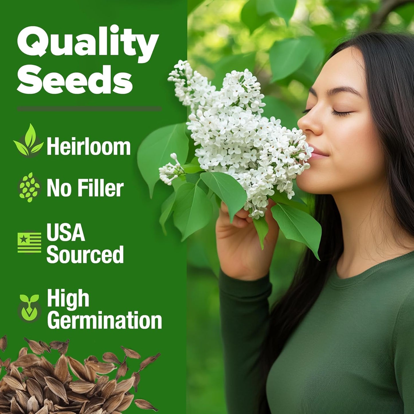 HOME GROWN 𝗨𝗦𝗔 53 White Lilac Flower Seeds Non-GMO, Heirloom Tree Seeds for Planting, Fragrant Flowering Tree Seeds for Landscaping, Pollinator Gardens, and Ornamental Borders (Syringa reticulata)