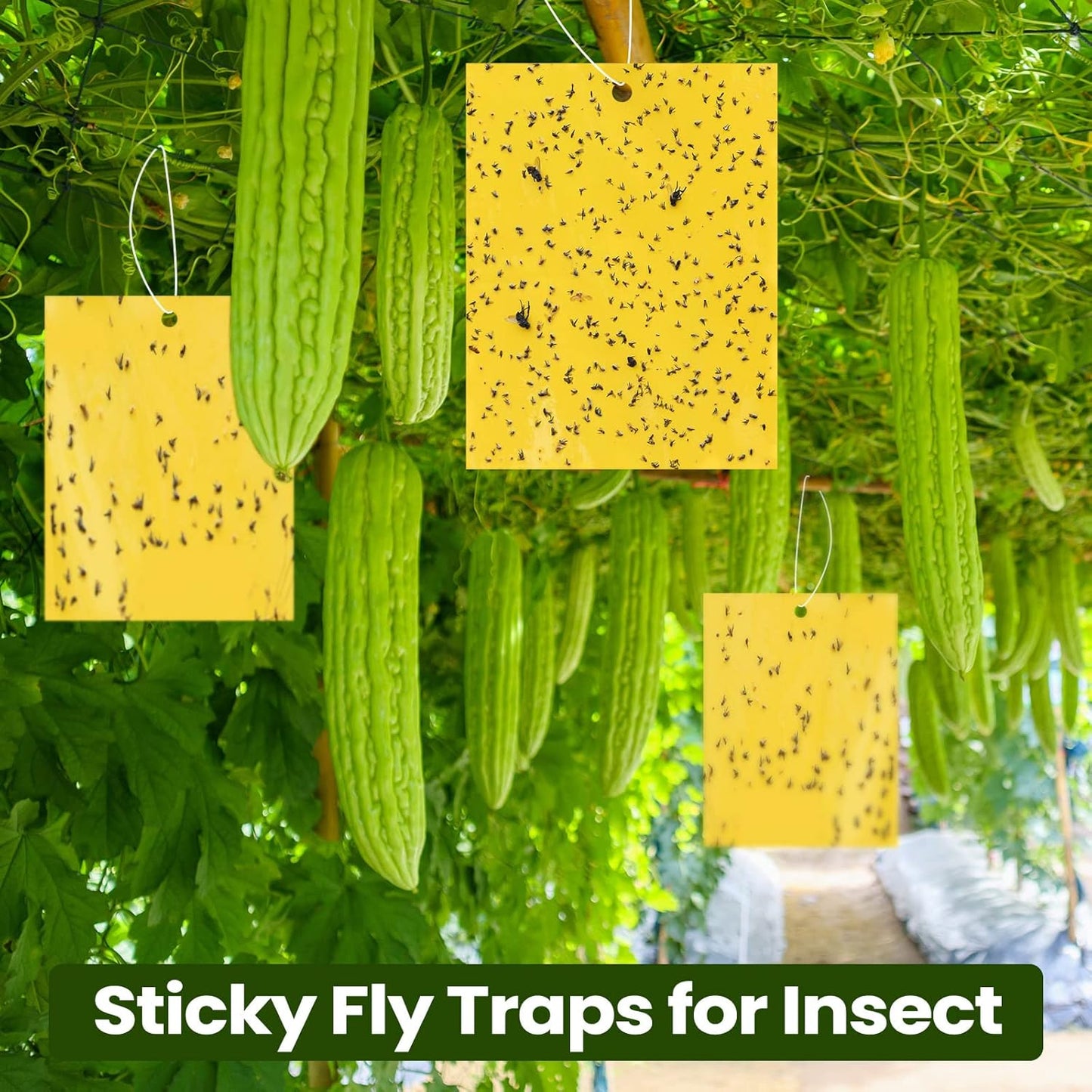 Qualirey 700 Pcs 6 x 8 Inch Yellow Sticky Traps for Plant Double Sided Sticky Trap for Gnats with Twist Ties Sticky Fly Traps for Fruit Insect Fungus Bugs Indoor Outdoor