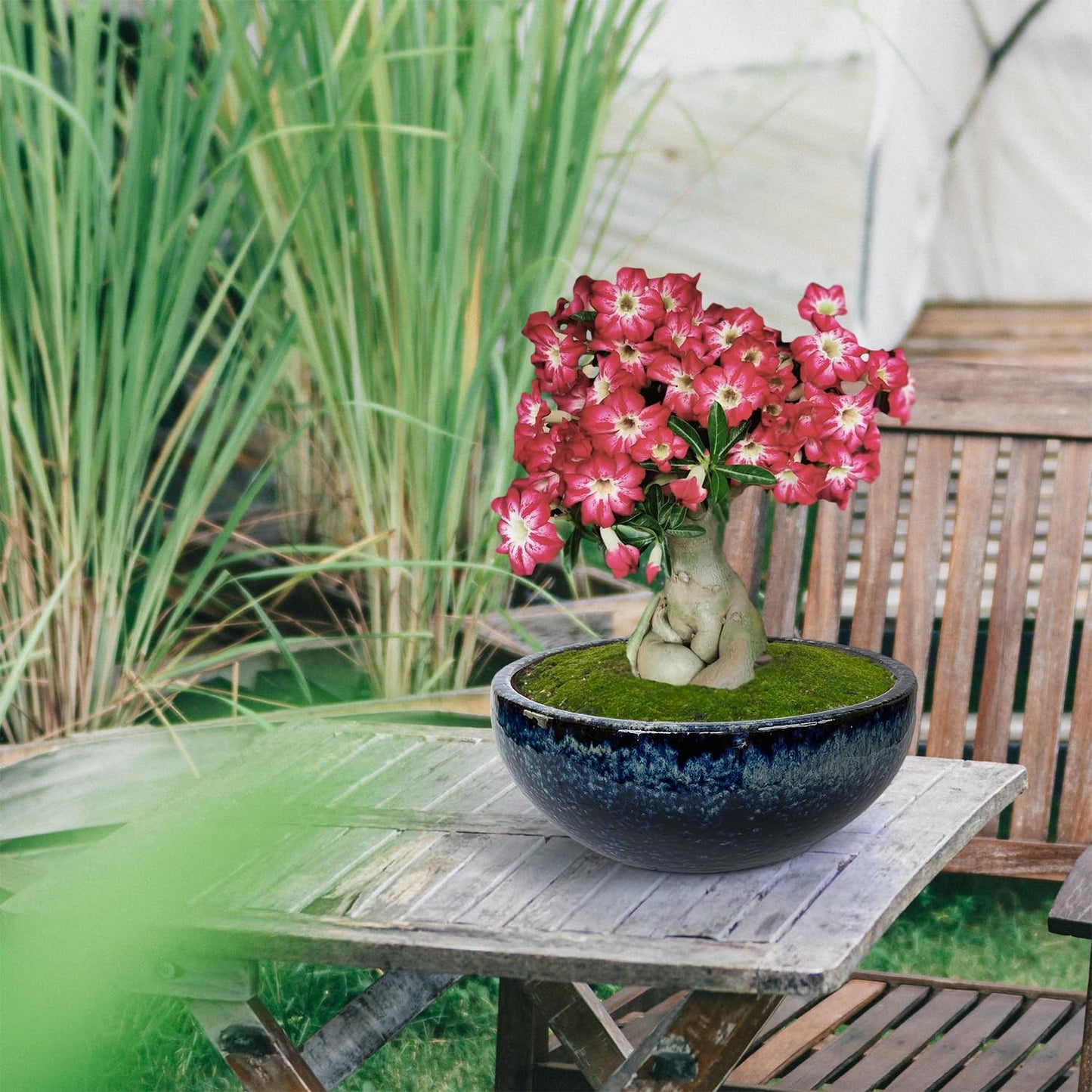 11 9 7 Inch Succulent Pot with Drainage and Mesh Pads Large Round Ceramic Plant Pot for Indoor Outdoor Plants Succulent Planter Cactus Bonsai Pot Container Set of 3 (Blue)