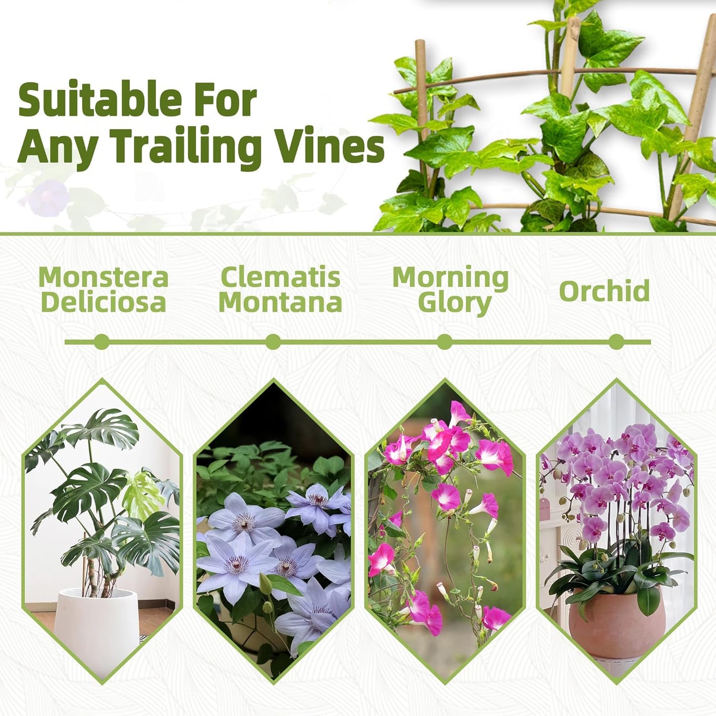 5 Pack 16" Bamboo Trellis for Climbing Plants-Natural Garden Ladder Fan -Shaped Plants Support Trellis for Potted Plant Decor in Door