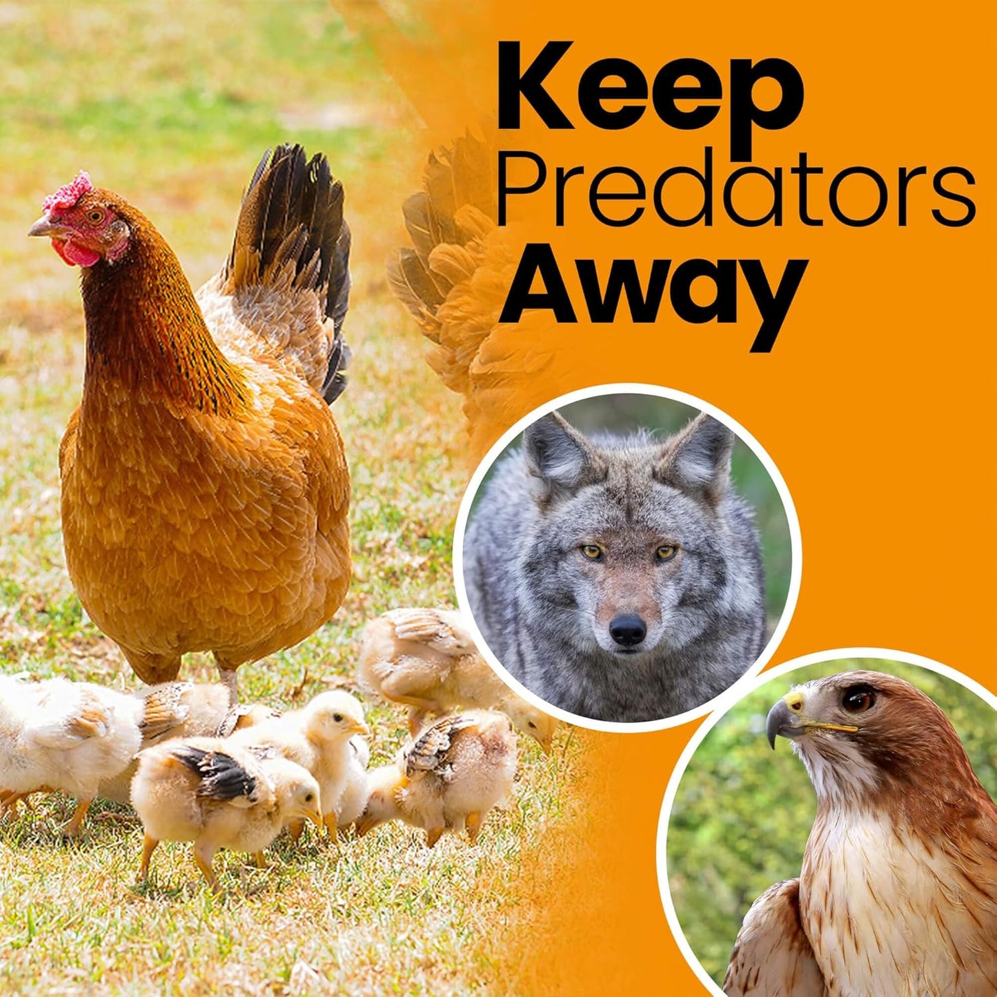 Heavy Duty Bird Netting for Chicken Coops & Runs | Tree & Garden Netting Mesh 1-1/2" | Keep Hawks, Birds & Predators Away | Bird Netting for Blueberry Bushes, Vegetables & Fruit (25' x 100')