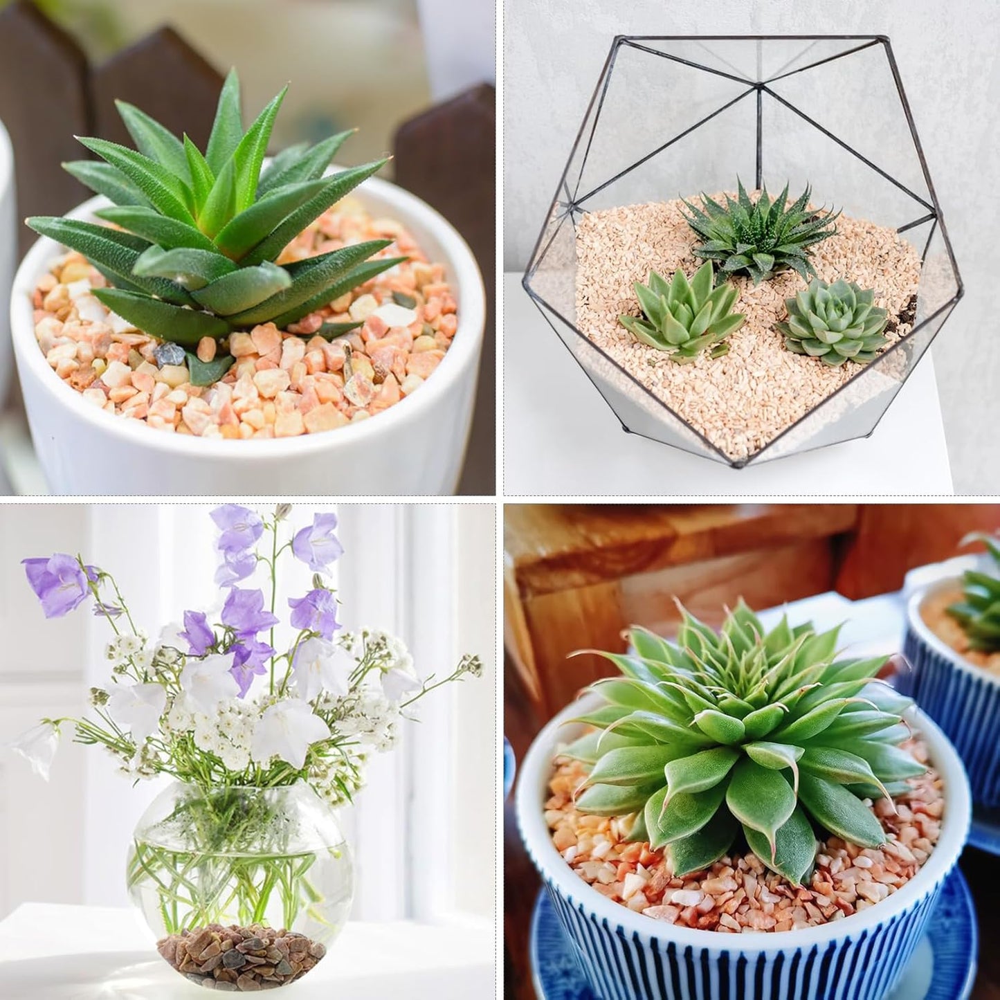 5lbs Peach Pebbles for Plants, 3/8inch Small Rocks for Succulent Cactus Plants, Natural Polished Pebbles, River Rocks for Plants, Vases, Garden