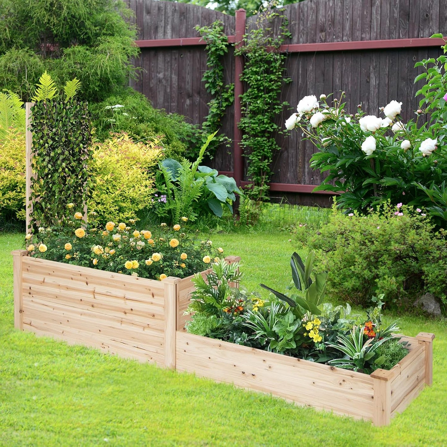 HAPPYGRILL Raised Garden Bed with Trellis, Wood Garden Box w/Open Base Design & 2 Compartments, Outdoor Wooden Planter Box Kit for Vine Climbing, Fruits, Vegetables, Flowers, Herbs, 88" x 25" x 53"