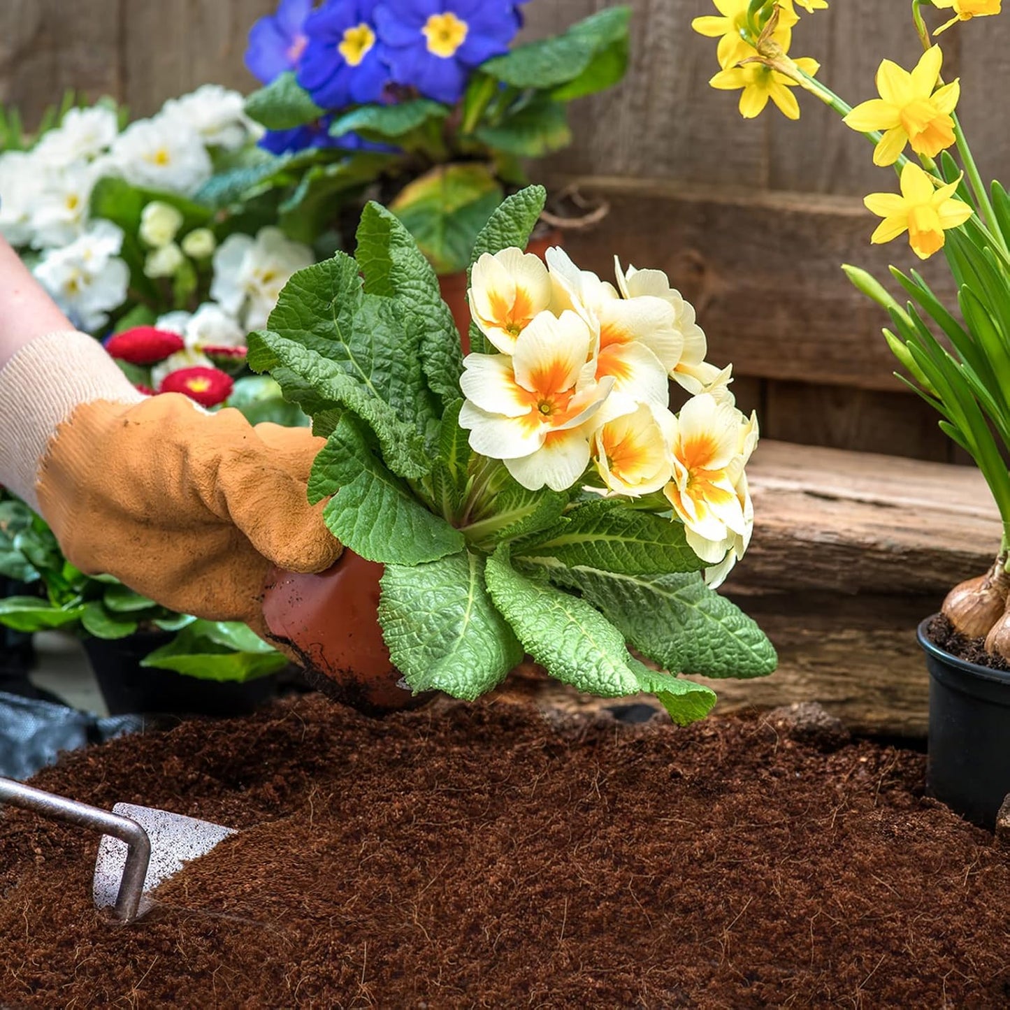 ZeeDix Organic Coco Coir Pellets Potting Soil, 150pcs 30mm Compressed Coconut Fiber Seed Starter Soil Pellets, Coco Peat Soil Discs for Indoor Outdoor Plants, Herbs, Houseplants, Flowers, Vegetables