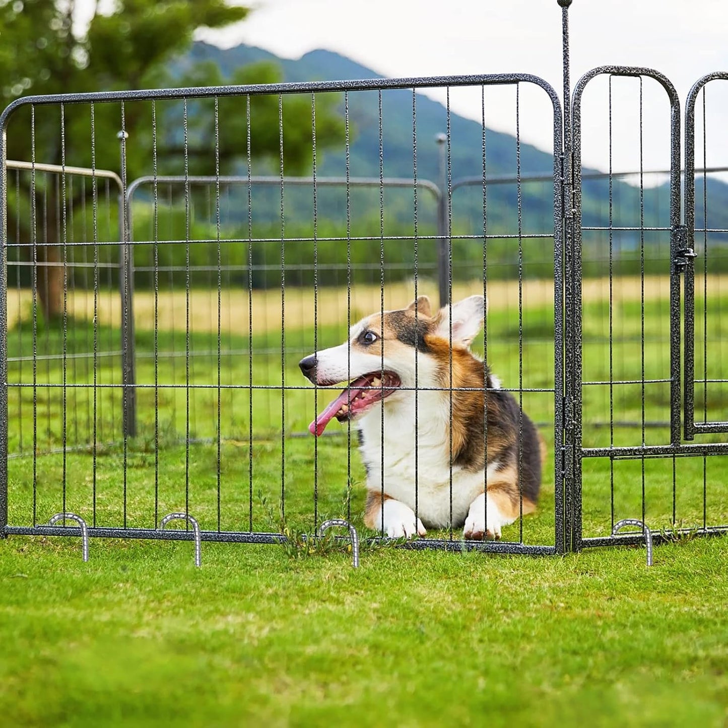 Ground Rebar Stakes 12 Inch Galvanized,J Hook Rebar Staples Heavy Duty 100 Pack Anti-Rust Yard Stakes for Plants Landscape Fabric Artificial Turf Fencing for Yard Shrubs