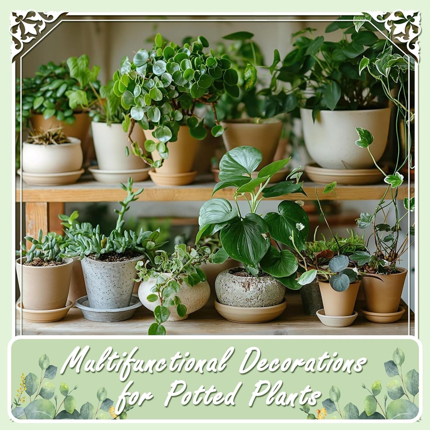 11lbs Natural River Rocks, Polished Pebbles for Plants Garden, 0.3-0.8 inch Decorative Peach Stones, Ideal for Fish Tank, Vases, Crafting, Home Decor and Garden Landscaping Rocks,Mix