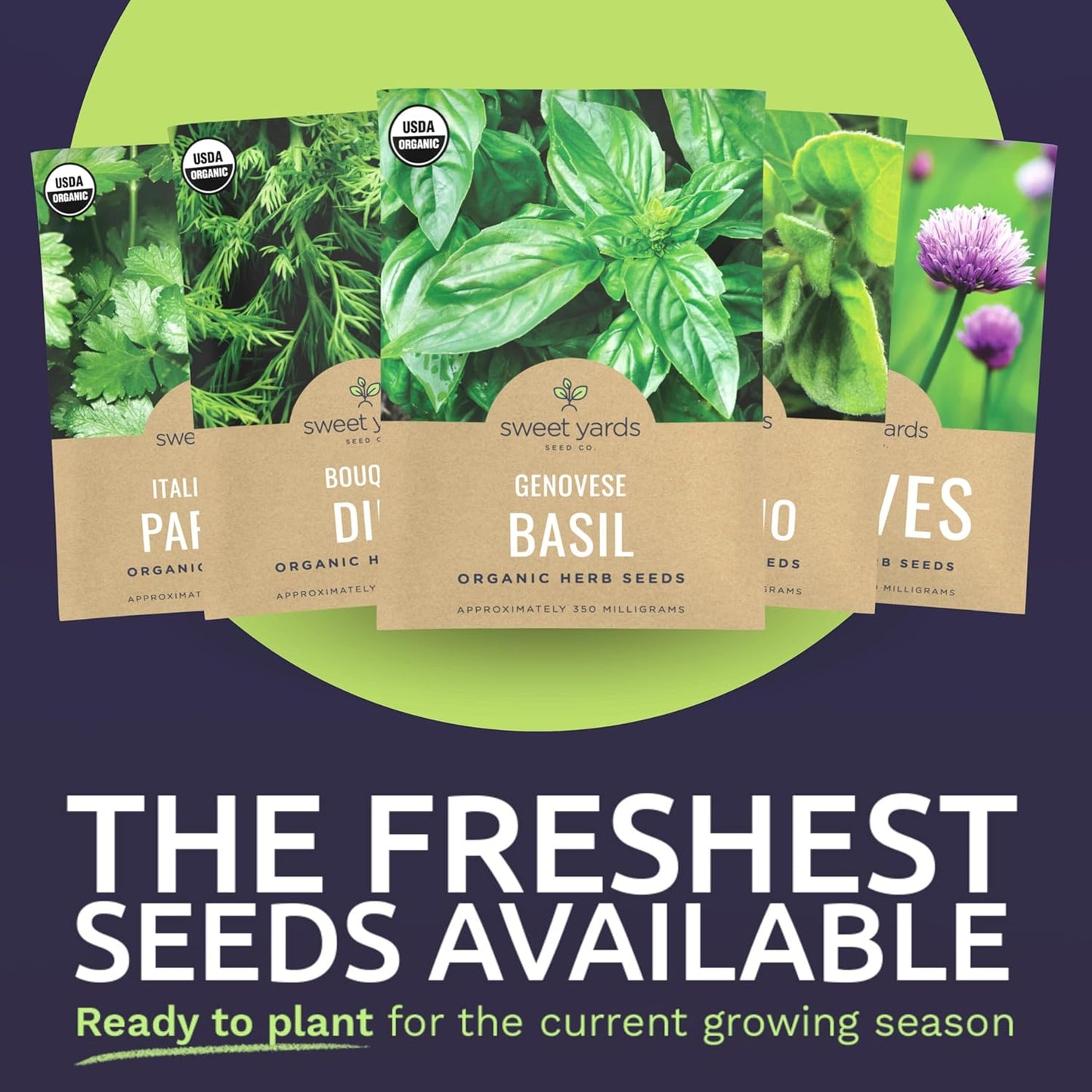 Organic Herb Seeds Variety Pack - 10 Individual Packs - 2025 Season - Basil, Cilantro, Dill, Thyme, Parsley and More! for Indoor & Outdoor Planting (Non-GMO, Certified Organic)