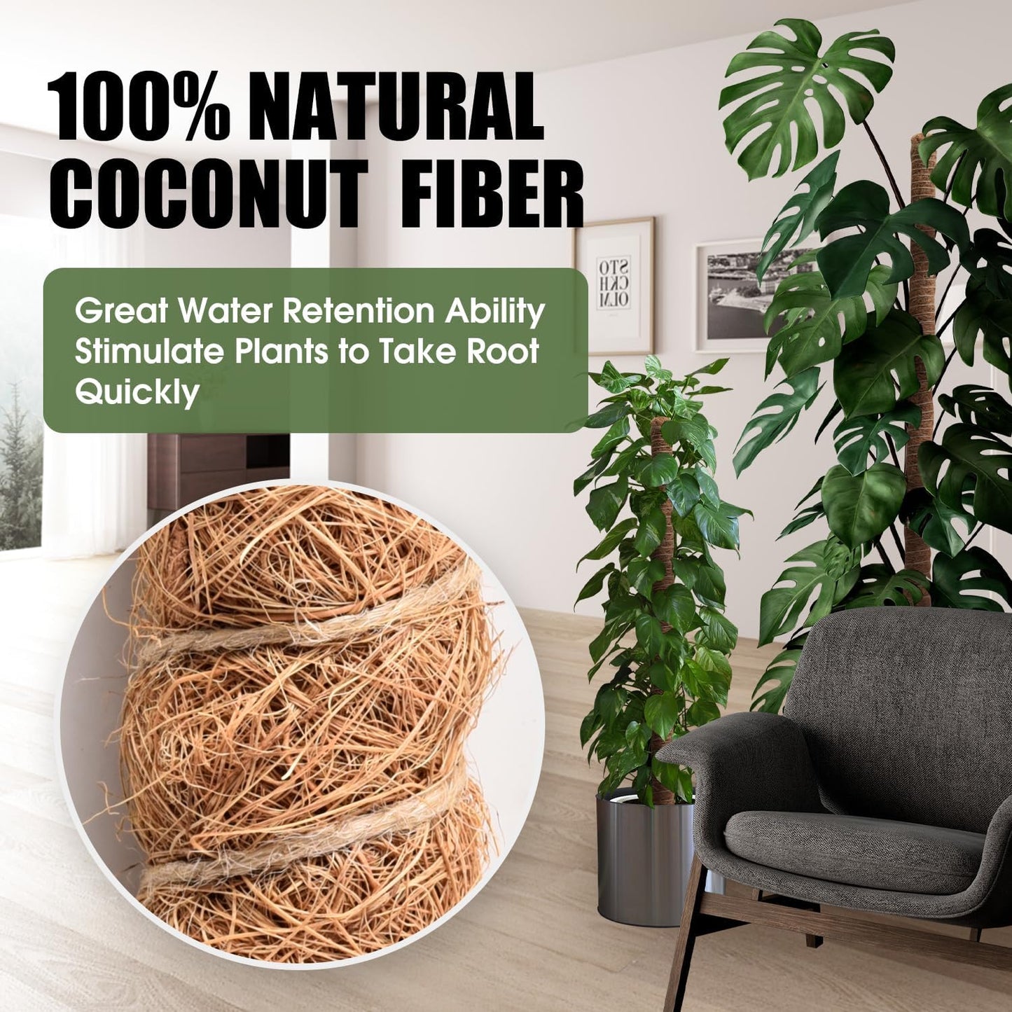 4 Pack Moss Pole 63 Inch Monstera Plant Support Moss Poles Bendable for Climbing Plants Longer Coco Coir Sticks Support Stakes Tall for Indoor Creeper DIY Shape Plants Grow Upwards