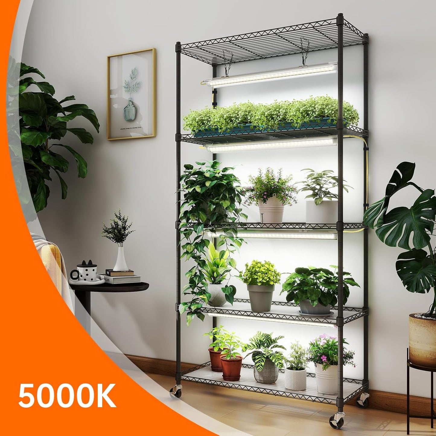 Plant Shelf with Grow Lights, 5-Tier Plant Stand with T8 24W Grow Light for Indoor Plants with Wheel, 5000K Full Spectrum LED Plant Light with Timer for Seedling, Seed Starting, 29.5x13.8x59IN