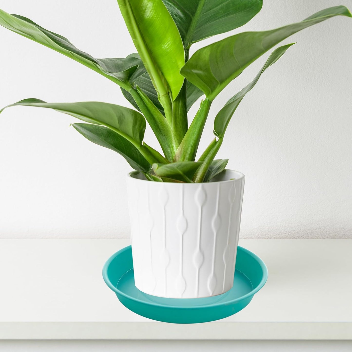 6 Pack Plastic Plant Saucer Water Drip Tray, 4 5 6 7 8 9 10 11 12 13 15 17 19 inch, Heavy Sturdy Plant Drainage Tray for Indoors Outdoor, Flower Saucers for Pots Base (4", Teal)