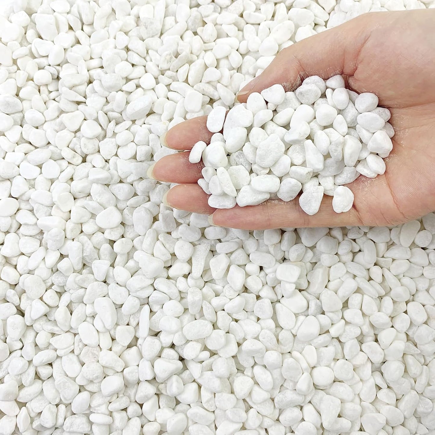 5lbs Natural White Pea Gravel Pebbles for Succulent Cactus, 3/8 Inch White Rocks for Plants Indoor, Vase Fillers, Bowl, Landscaping and Outdoor Garden Decorative White Stones