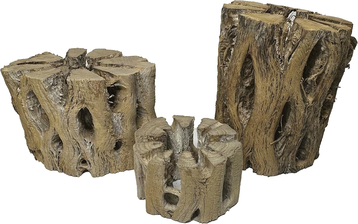 3 Natural Cholla Wood Air Plant Display Holders Tiered 1, 2 & 3 inch Individually Unique Round Decorative Stands