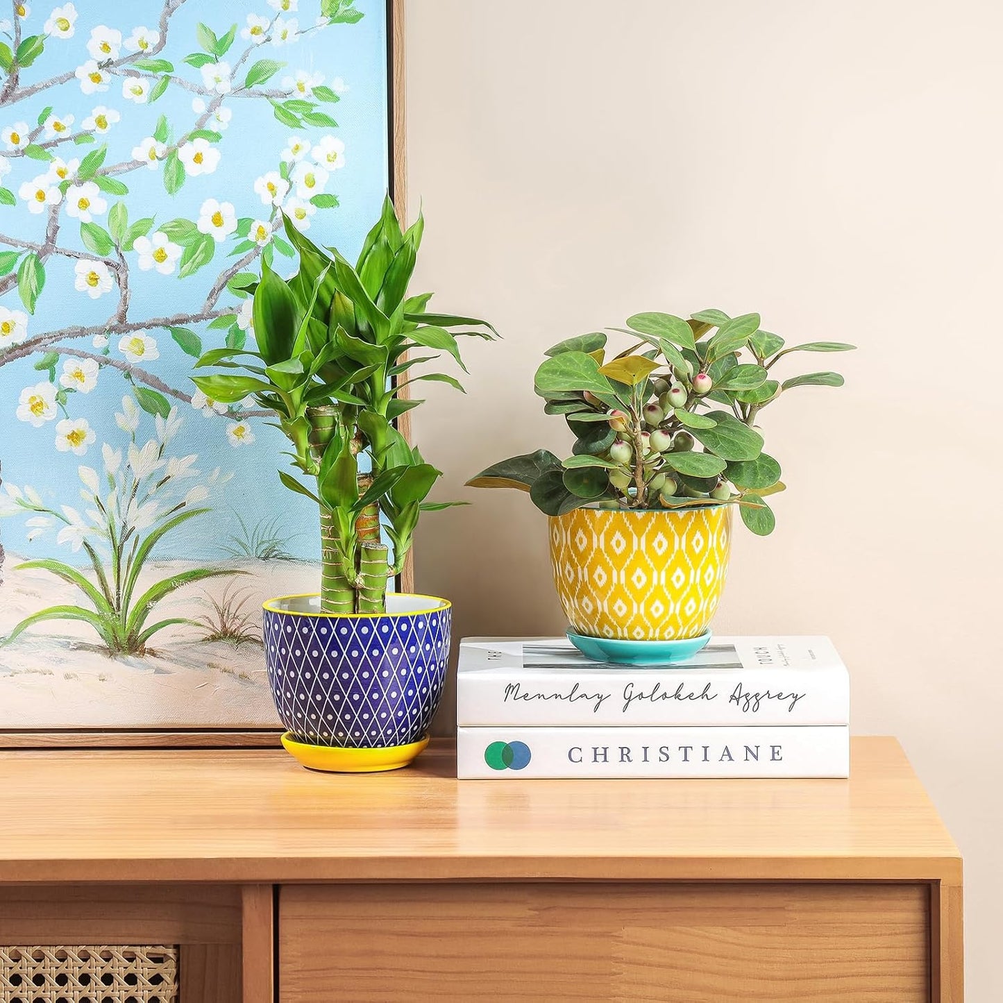 Selamica Ceramic Plant Pots, 4.6 Inch Flower Pots for Indoor Plants, Succulent Pots with Drainage Hole & Saucer, Succulent Planters for Succulent Cactus, Home Decor, Set of 4, Assorted Colors