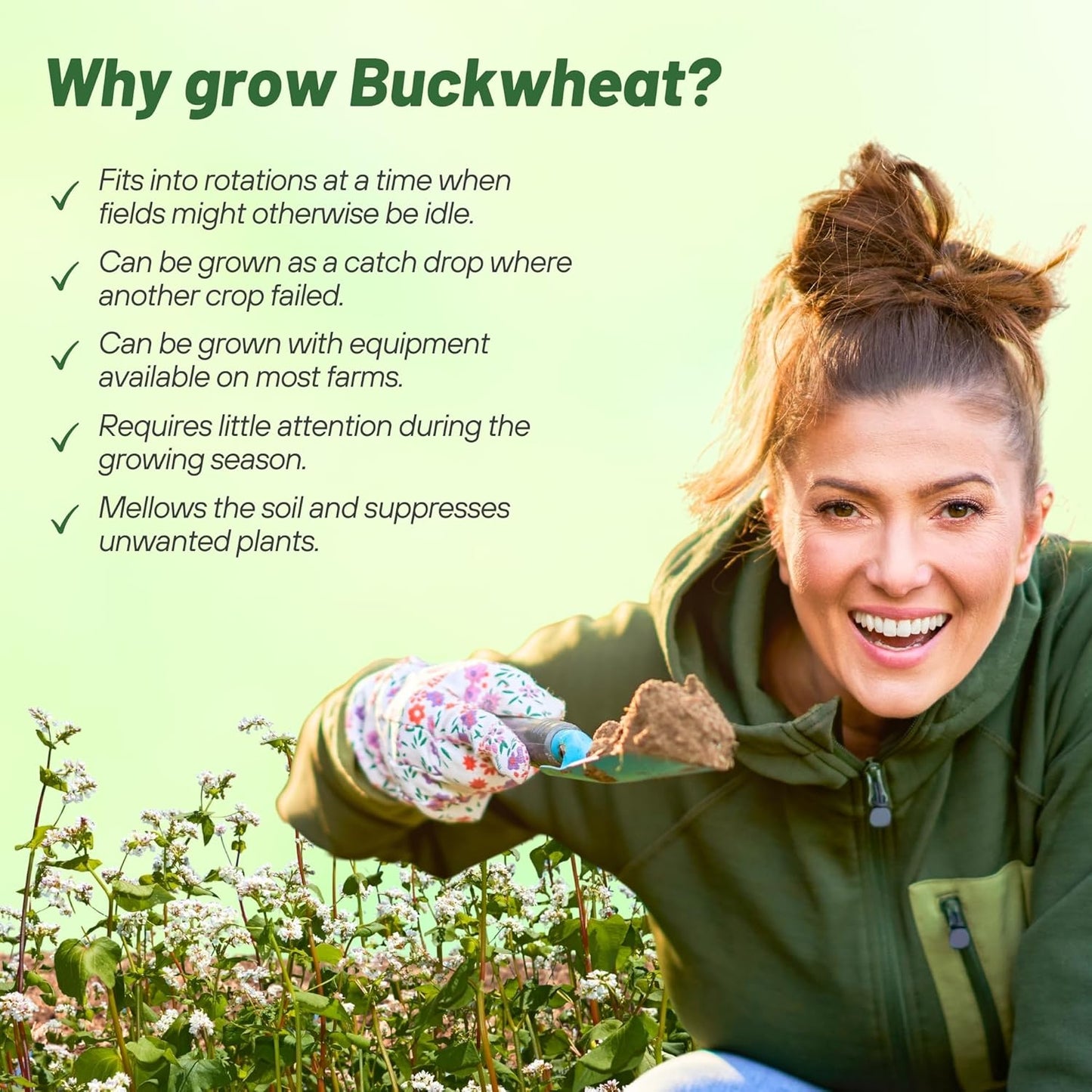 Outsidepride Buckwheat Seeds - 50lbs Annual, Fast-Growing, Easy to Grow Buckwheat Cover Crop Seeds for Green Manure, Bee Pasture & Pollinators, Wildlife Habitat, Soil Improvement, and Erosion Control