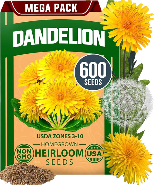 HOME GROWN 𝗨𝗦𝗔 𝗣𝗥𝗘𝗠𝗜𝗨𝗠 Dandelion Seeds for Planting – 600 Heirloom Medicinal Herb Seeds (~0.3g) 𝗡𝗢𝗡-𝗚𝗠𝗢 Grow Edible Leaves and Flowers for Remedies or Wildlife (Taraxacum officinale)