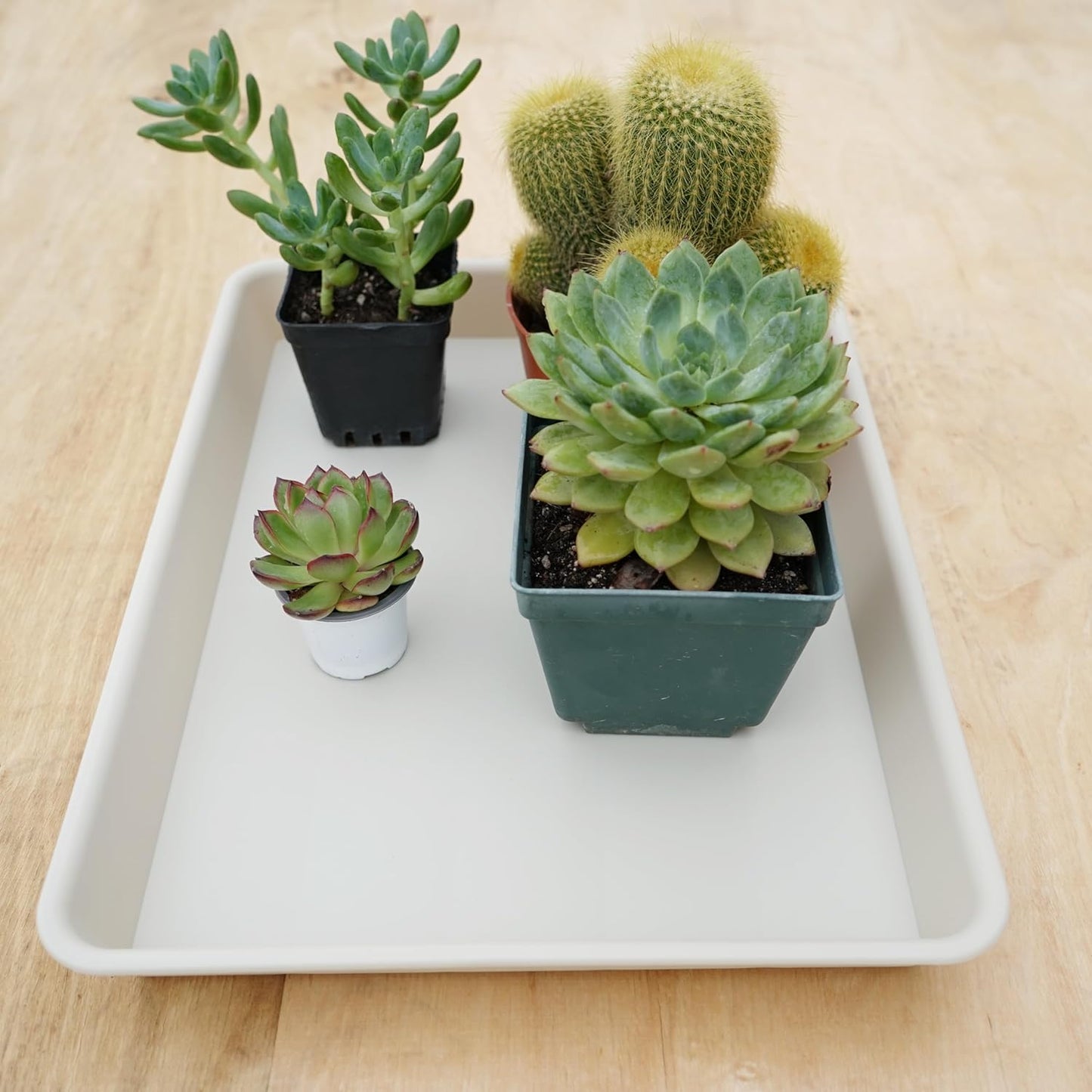 2 Pack Plant Saucer Tray Rectangular, Plant Growing Nursery Trays, Heavy Sturdy Seed Starting Trays, Plant Starter Trays for Indoors No Holes, Seed Starter Growing Tray (17.5"x10.6", Beige)