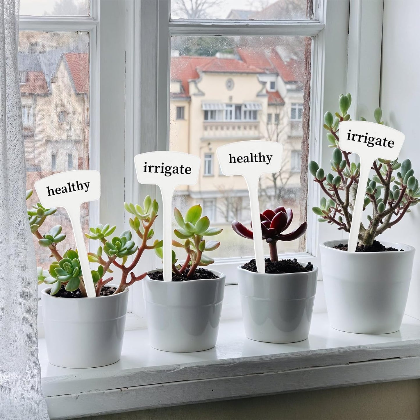 100 Pcs Plant Labels,T-Type 10.63inch Large Plastic Plant Tags Waterproof Plant Makers Nursery Garden Labels for Outdoor Indoor Plants Herbs Flowers Vegetable Potted Belt Marker Pen (White)