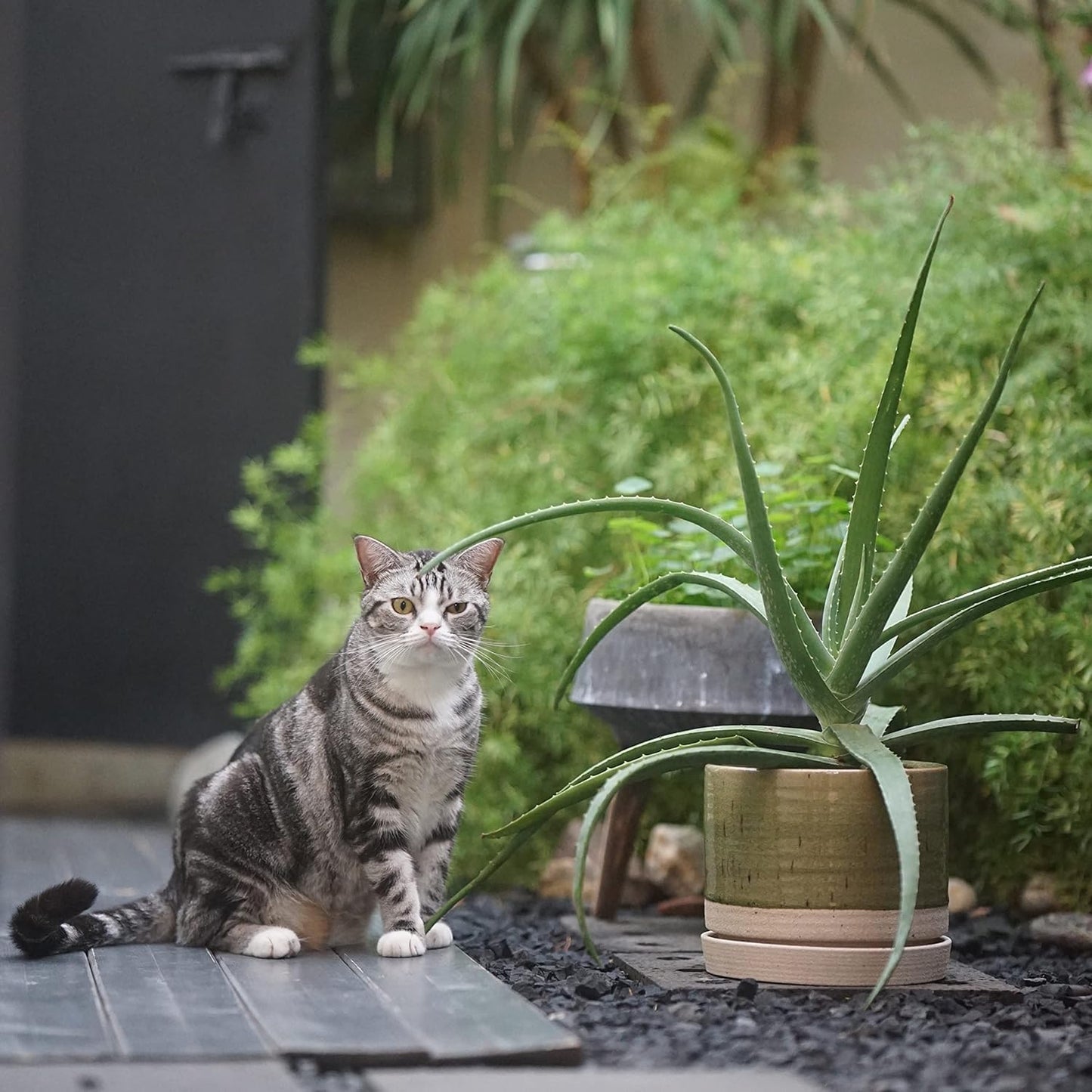 8 Inch Pots for Plants, Ceramic Planter Pot with Drainage Hole & Saucer, Indoor/Outdoor Cylinder Round Planter Pot, Green & Beige