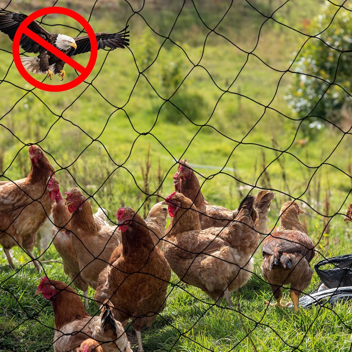 Windyun 2 Pcs Bird Netting 50' x 100' Bird Net Chicken Coop 2.4" Mesh Heavy Duty Deer Fence Aviary Net Reusable Fruit Tree Poultry Barrier for Garden Protection Vineyard Against Hawk Squirrel, Black