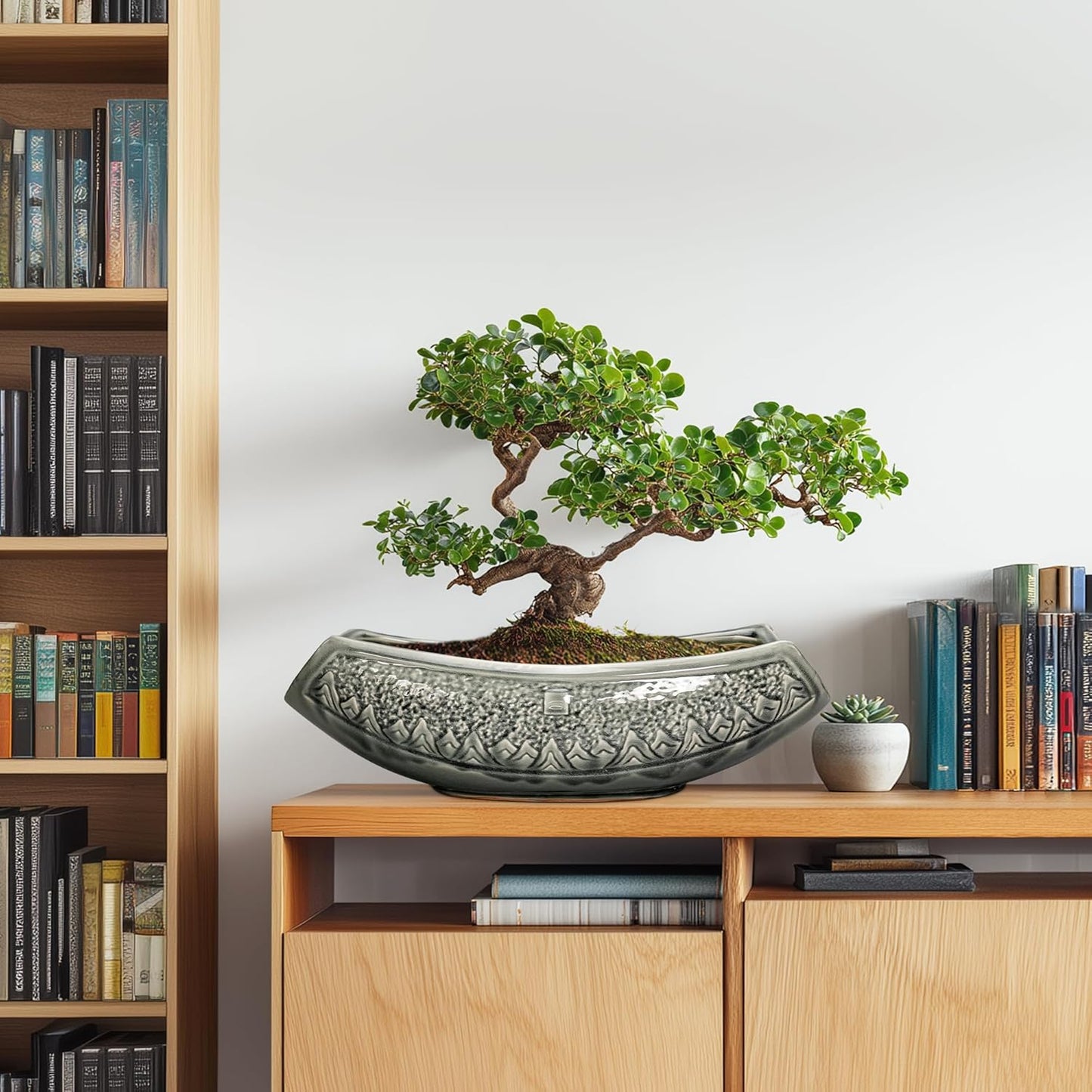 Bonsai Pots 18 Inch - Ceramic Succulent Pots, Large Bonsai Planter for Indoor Outdoor Plants, Decorative Plant Pot with Drainage Hole, Ceramic Flower Pot, House Decor, Plant Lover Gifts, Grey