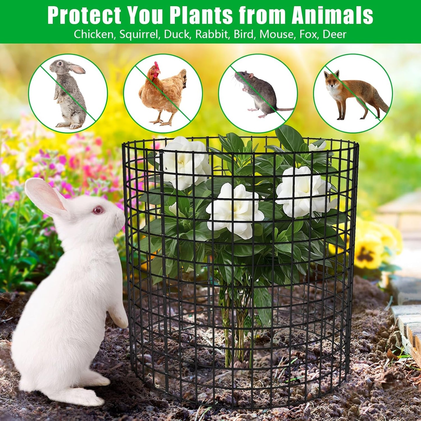 5 Pack Plant Protector from Animals, 17x14 inch Wire Plant Cages Mesh Plant Cage Garden Plant Protector, Sturdy Bunny Barricades Chicken Wire Cloche Plant Protectors for Keeping Bunny Animals Out