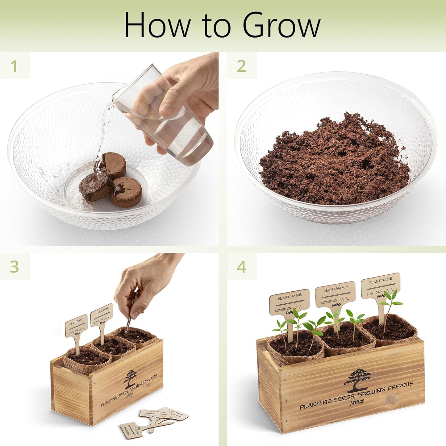 Bonsai Tree Kit – 3X Unique Japanese Bonzai Trees | Complete Indoor Starter Kit for Growing Bonsai Plants with Tools & Planters – Gardening Gifts for Women & Men