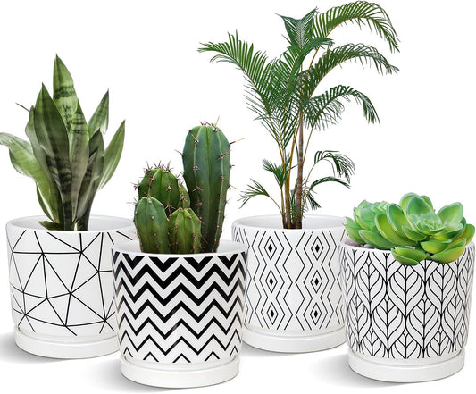 Ton Sin Plant Pots,5.5 Inch White Pots for Indoor Plants with Drainage Holes,Cylinder Flower Pot Ceramic Planters with Saucer,Cactus Succulent Outdoor Garden Pots Set of 4