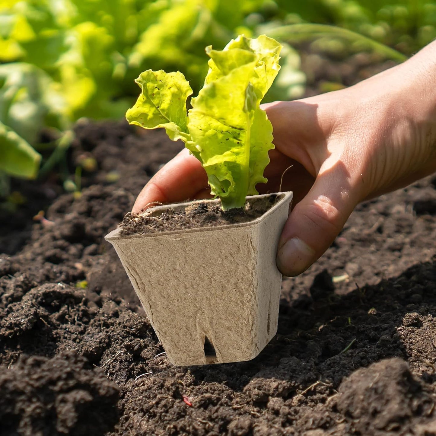 180 Pieces Peat Pots Plant Starters 2.3 Inch Square Peat Pots for Herb Seedlings Garden Germination Nursery Pots Organic Germination Plant Starter with Plant Markers Labels for Plants Supplies