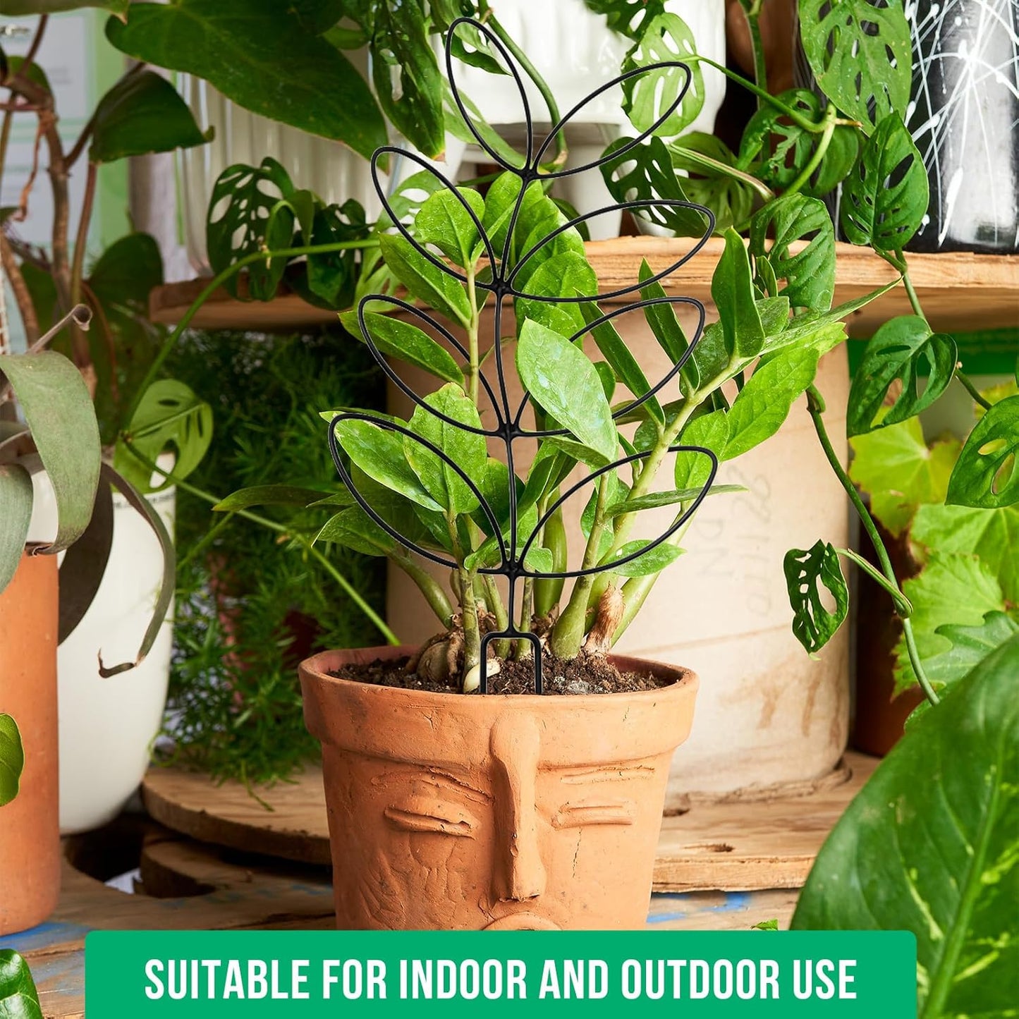 4 Pack Plant Trellis for Climbing Plants Indoor Outdoor, Garden Trellis for Potted Plants, Metal Climbing Plant Support for Houseplant