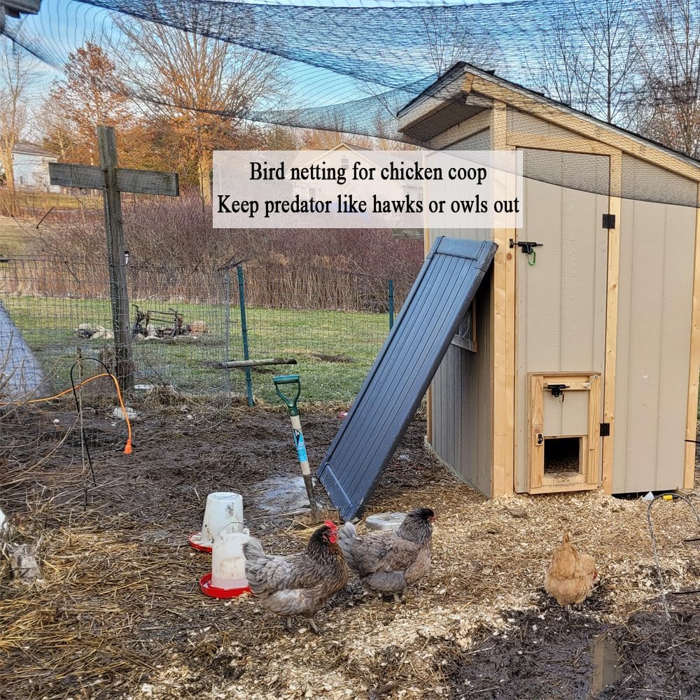 Bird Netting for Chicken Coop 25x50 Ft, 1" Mesh, Strong Woven Poultry Netting Roof Cover for Chicken Run, Heavy Duty Bird Net for Fruit Trees, Blueberry, Vegetables, Garden Protection