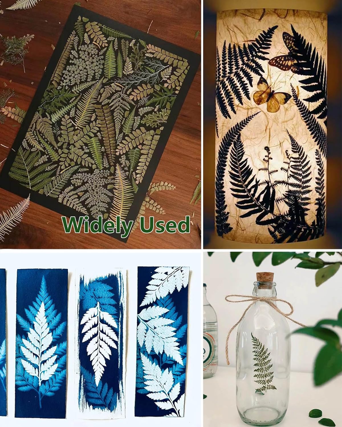 AHTONG 48 PCS Pressed Ferns Large Dried Pressed Leaves, Dried Flowers for Crafs, Resin Molds, Candle Making, Bookmarks(Fern)